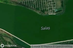 Lacul Salas