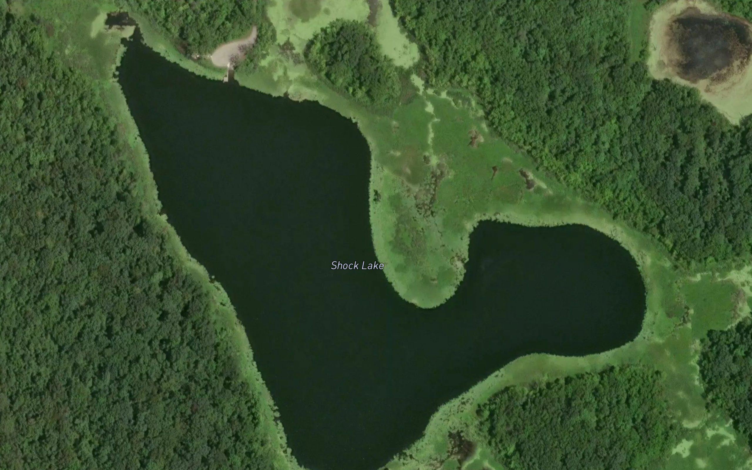 Shock Lake