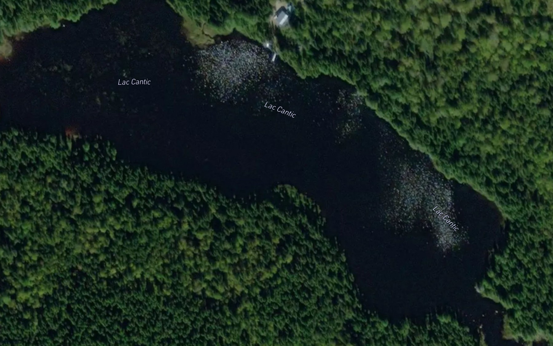 Satellite map of the Lac Cantic