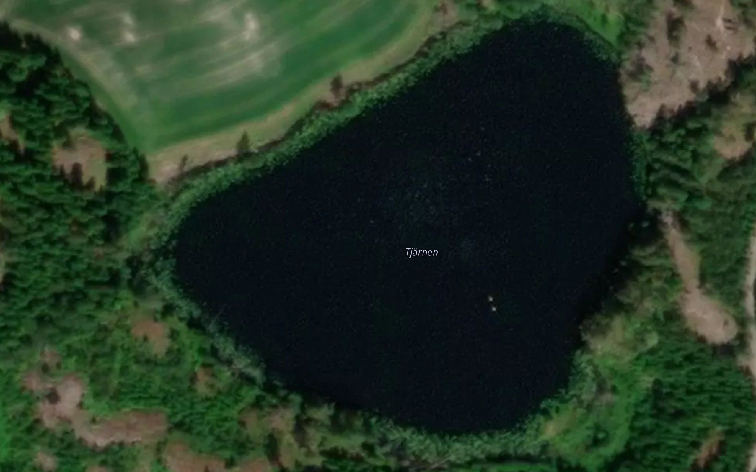 Tjarnen