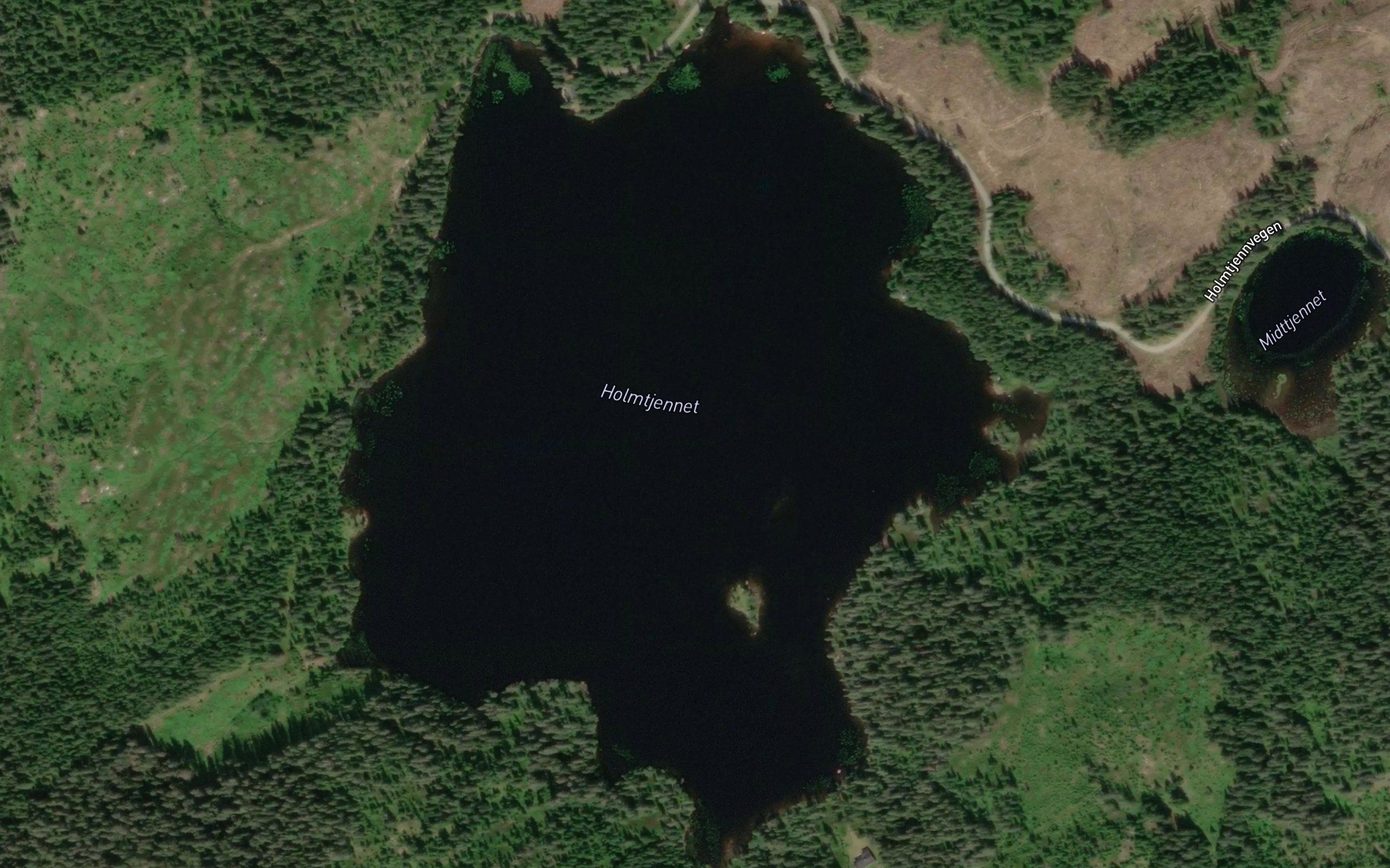 Holmtjernet