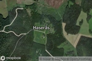 Harsjon