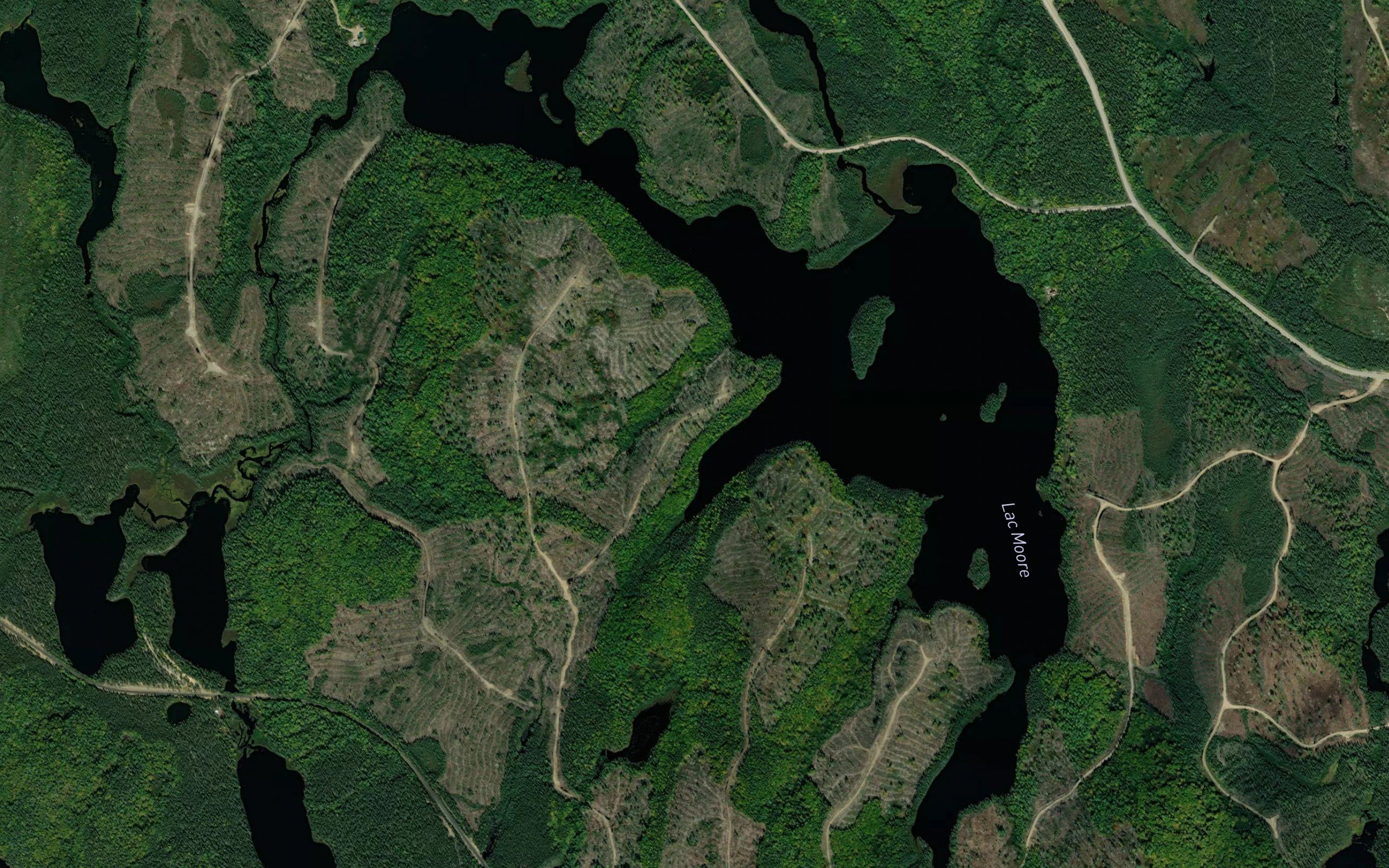 Lac Moore