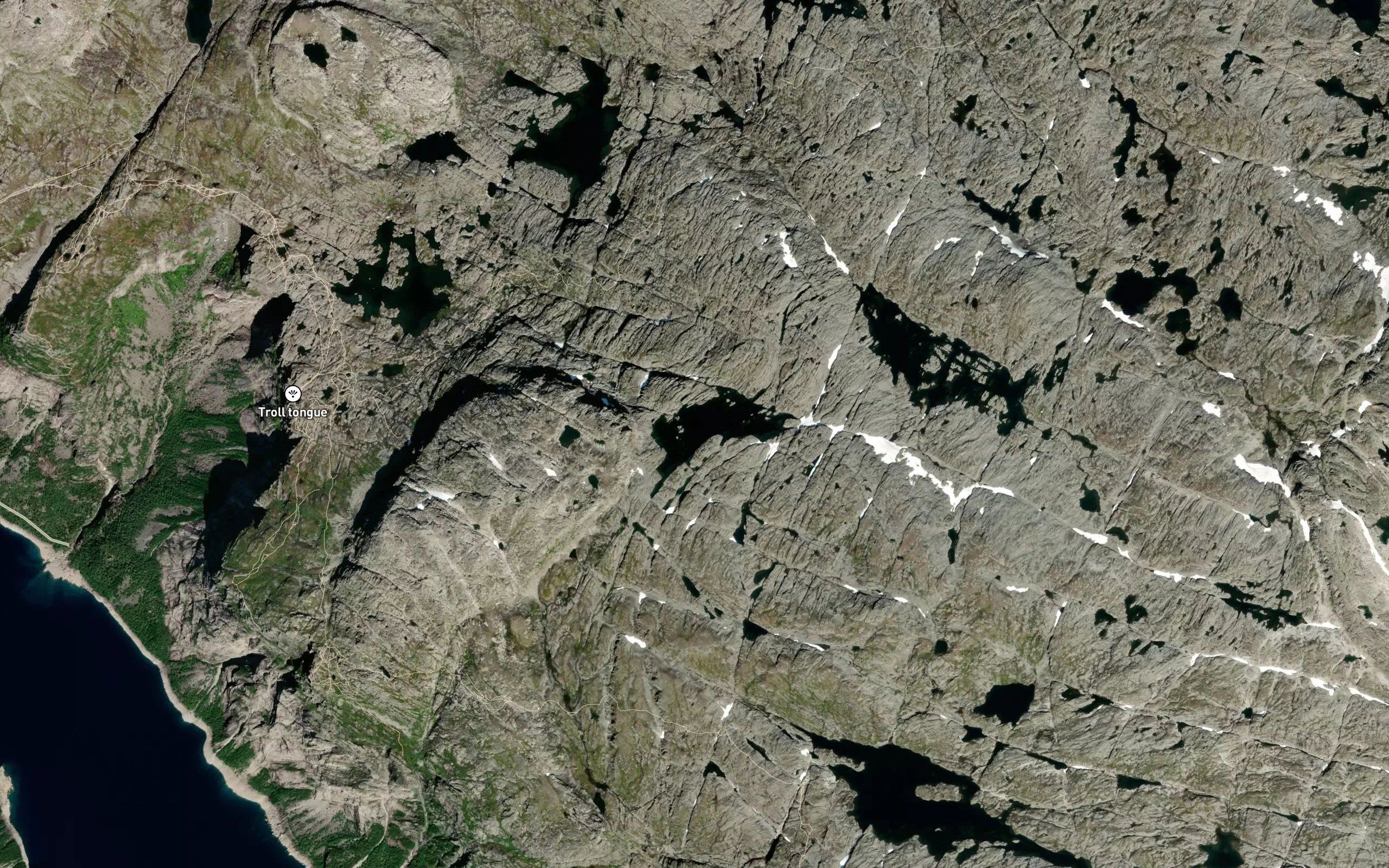 Reinanuttjorn