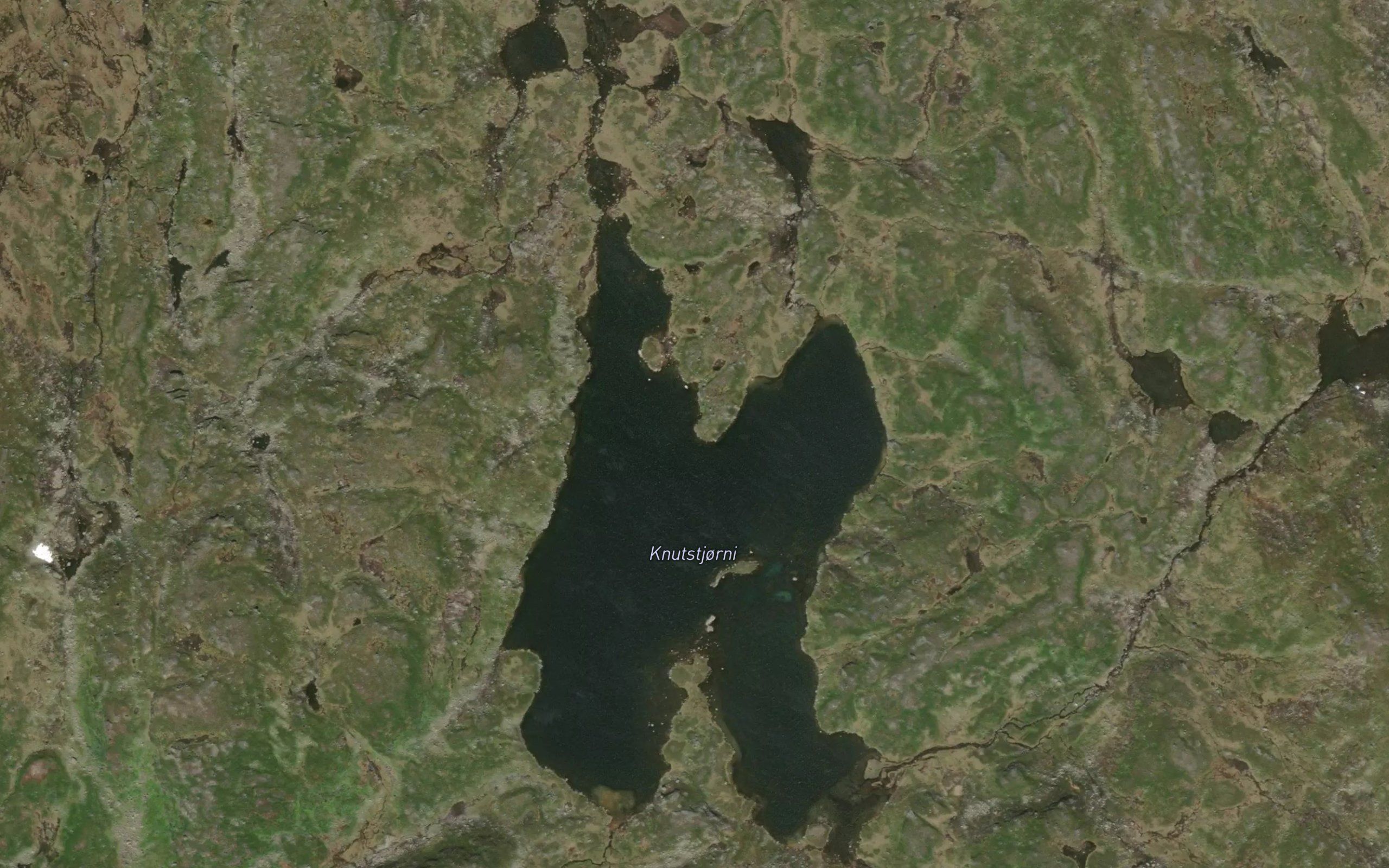 Knutstjonn