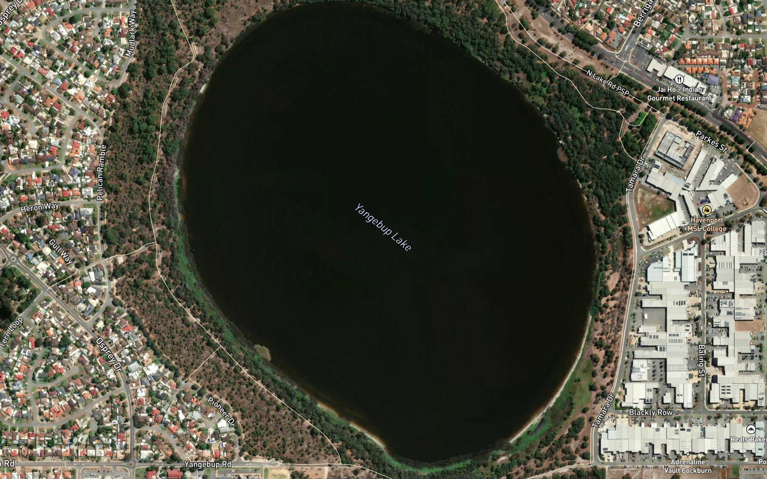 Yangebup Lake