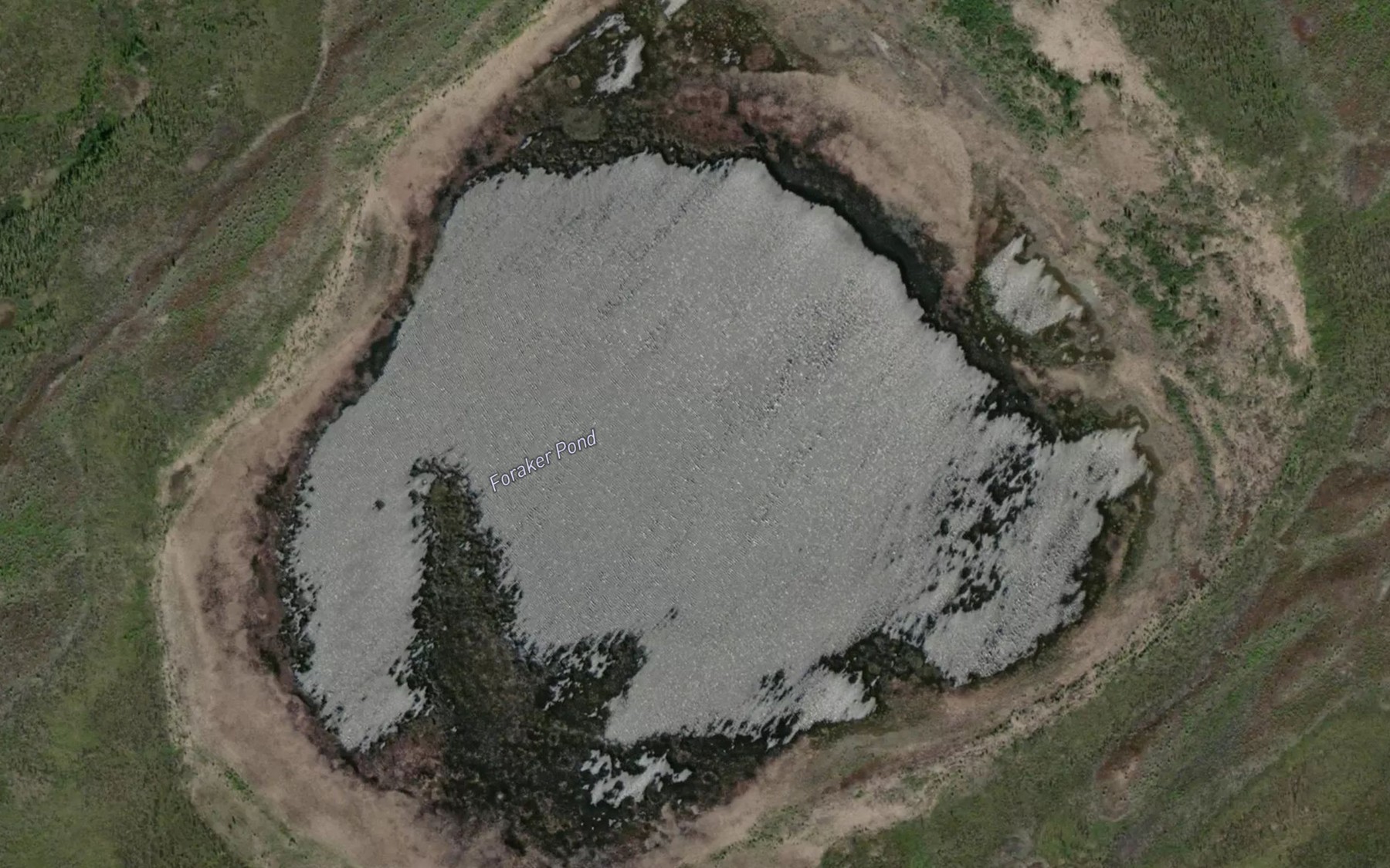 Satellite map of the Foraker Pond