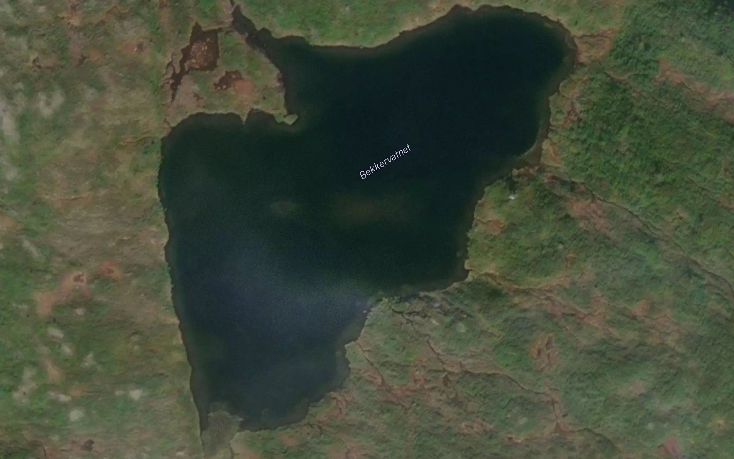 Bekkervatnet