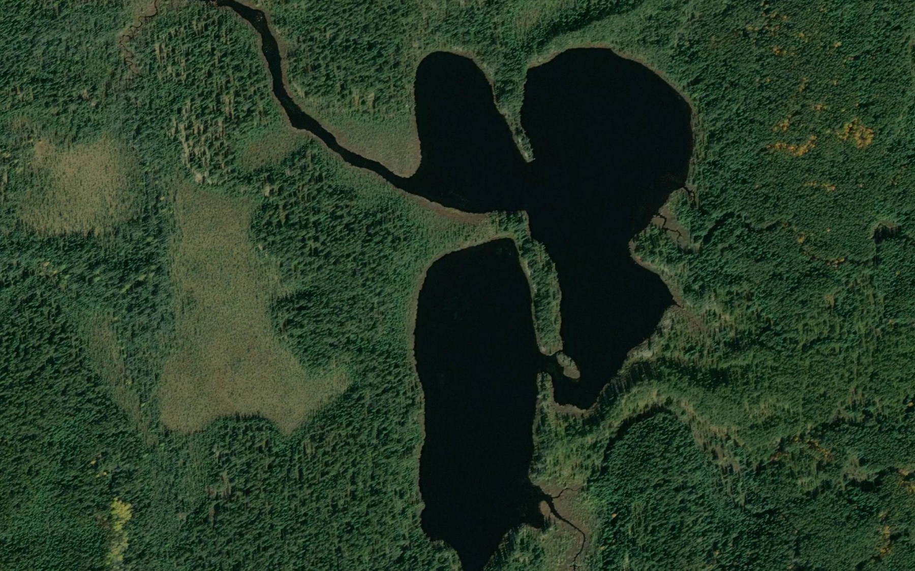 Satellite map of the Lac Tourmente