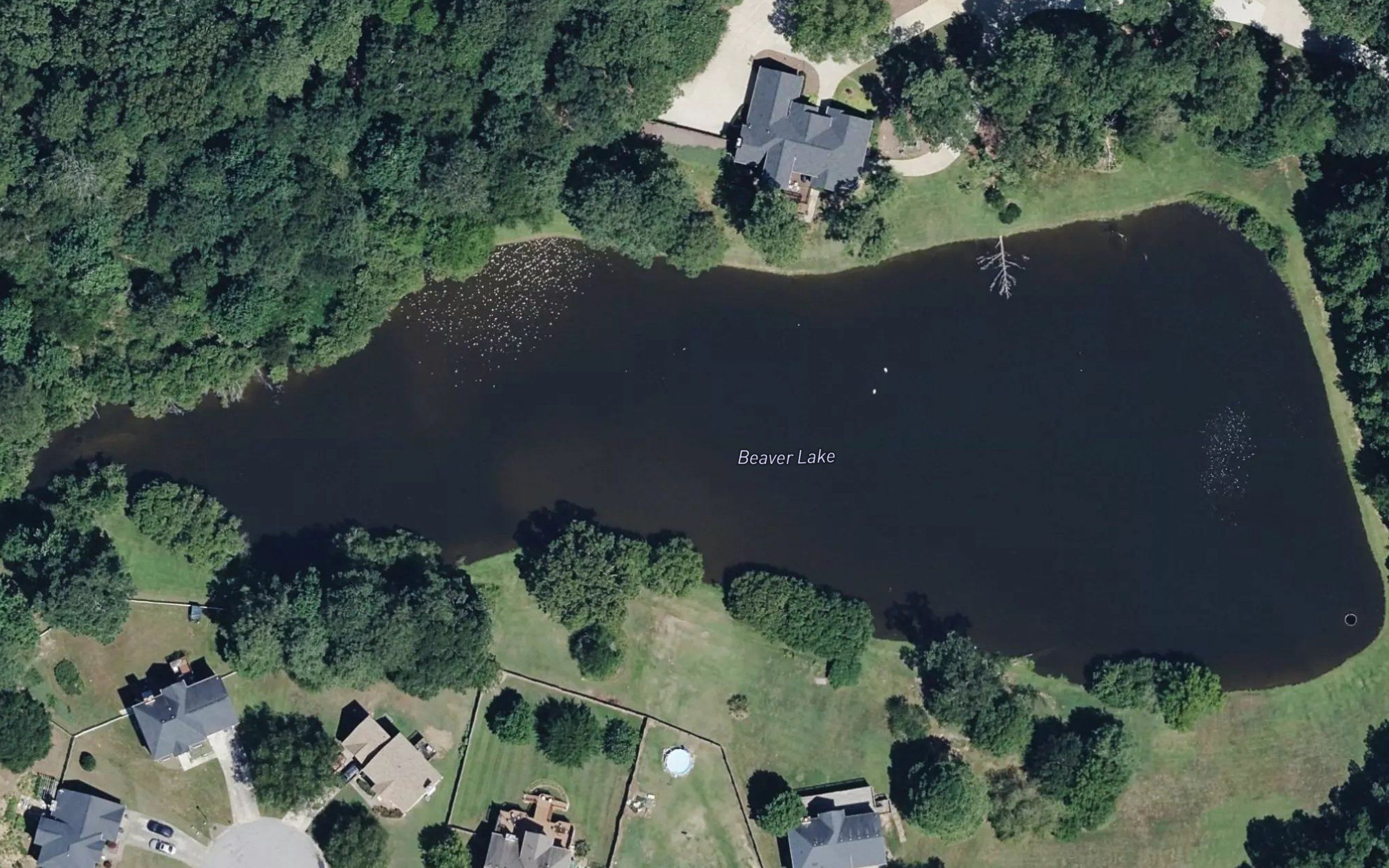 Beaver Lake