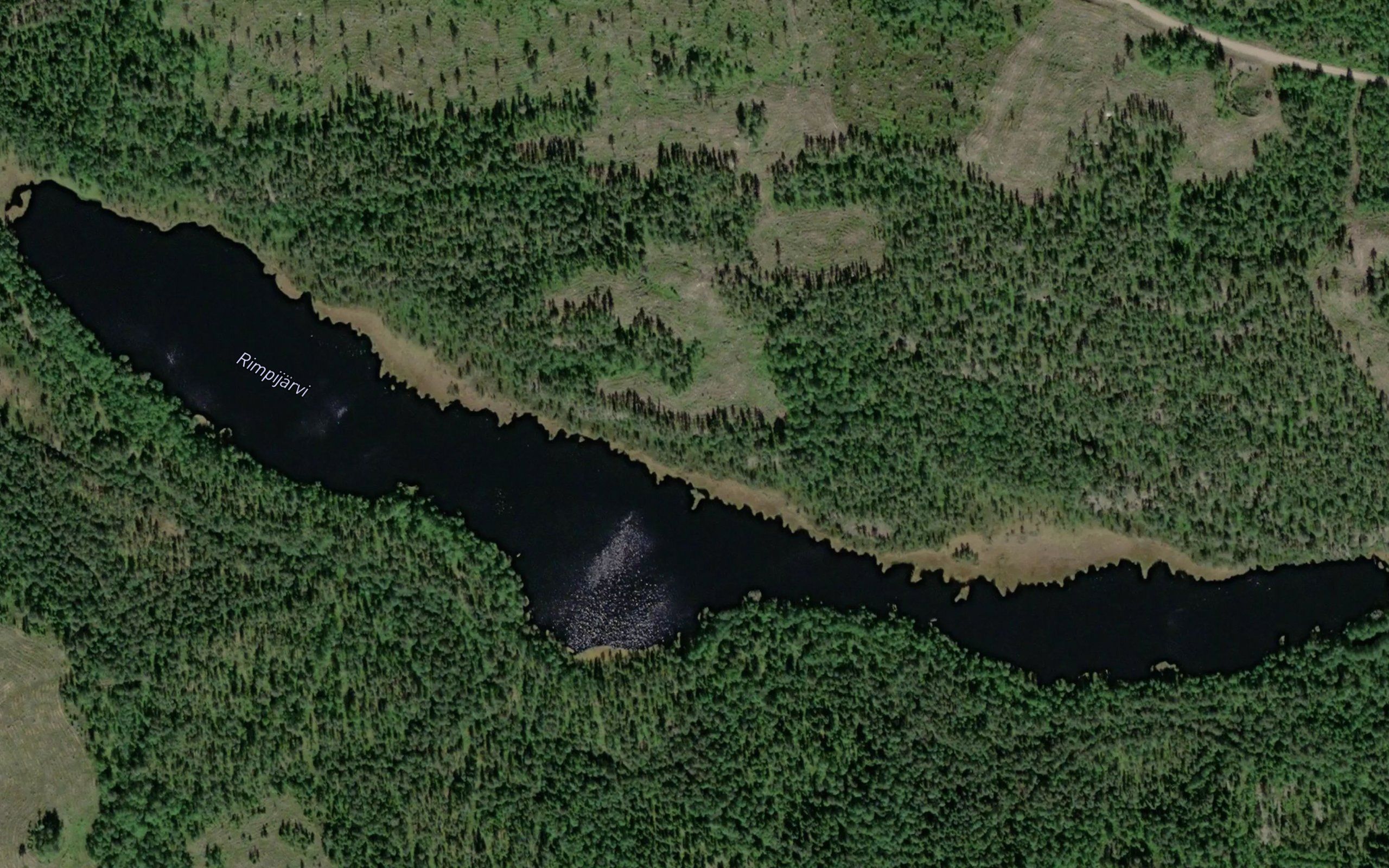 Rimpijarvi