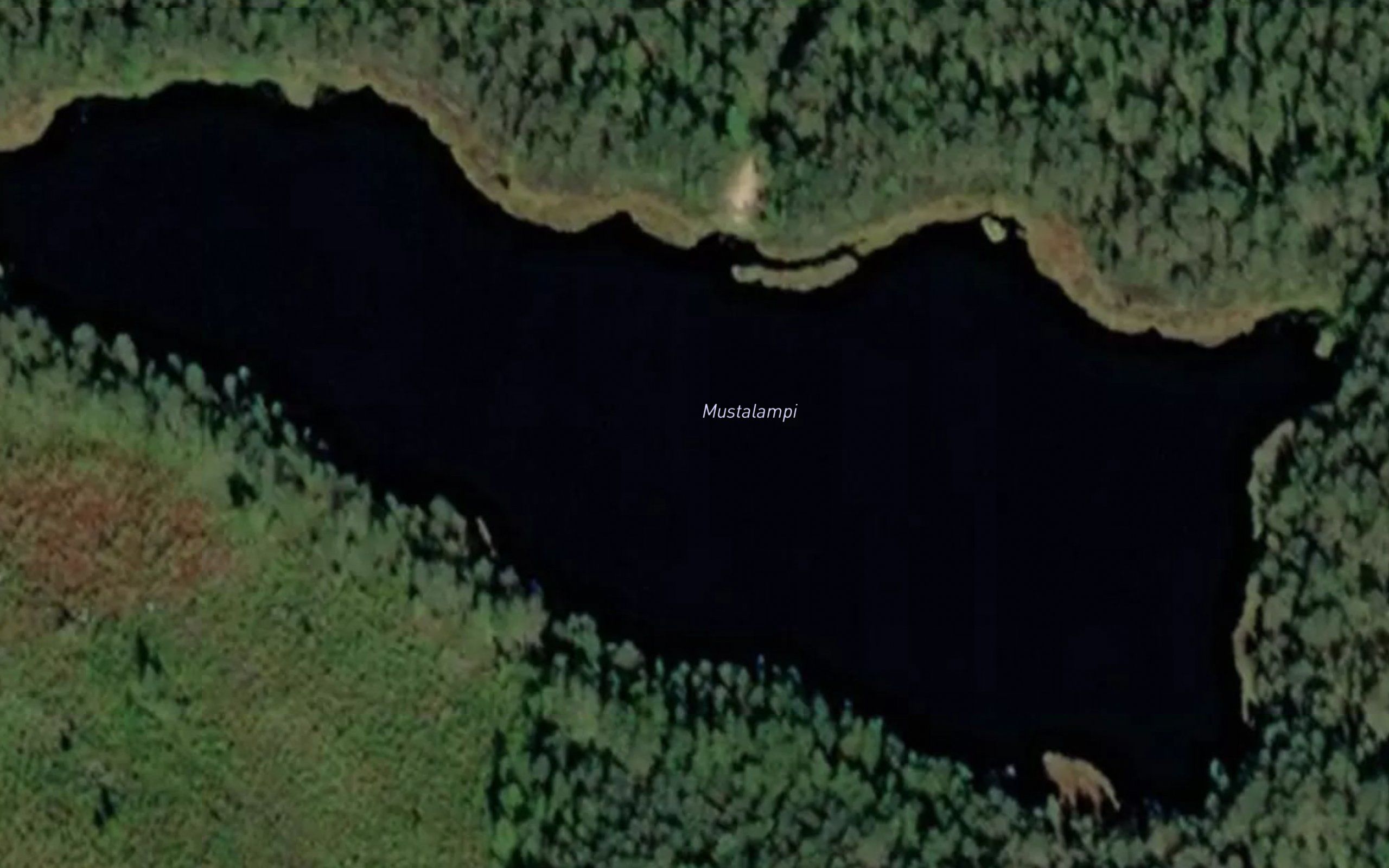 Mustalampi
