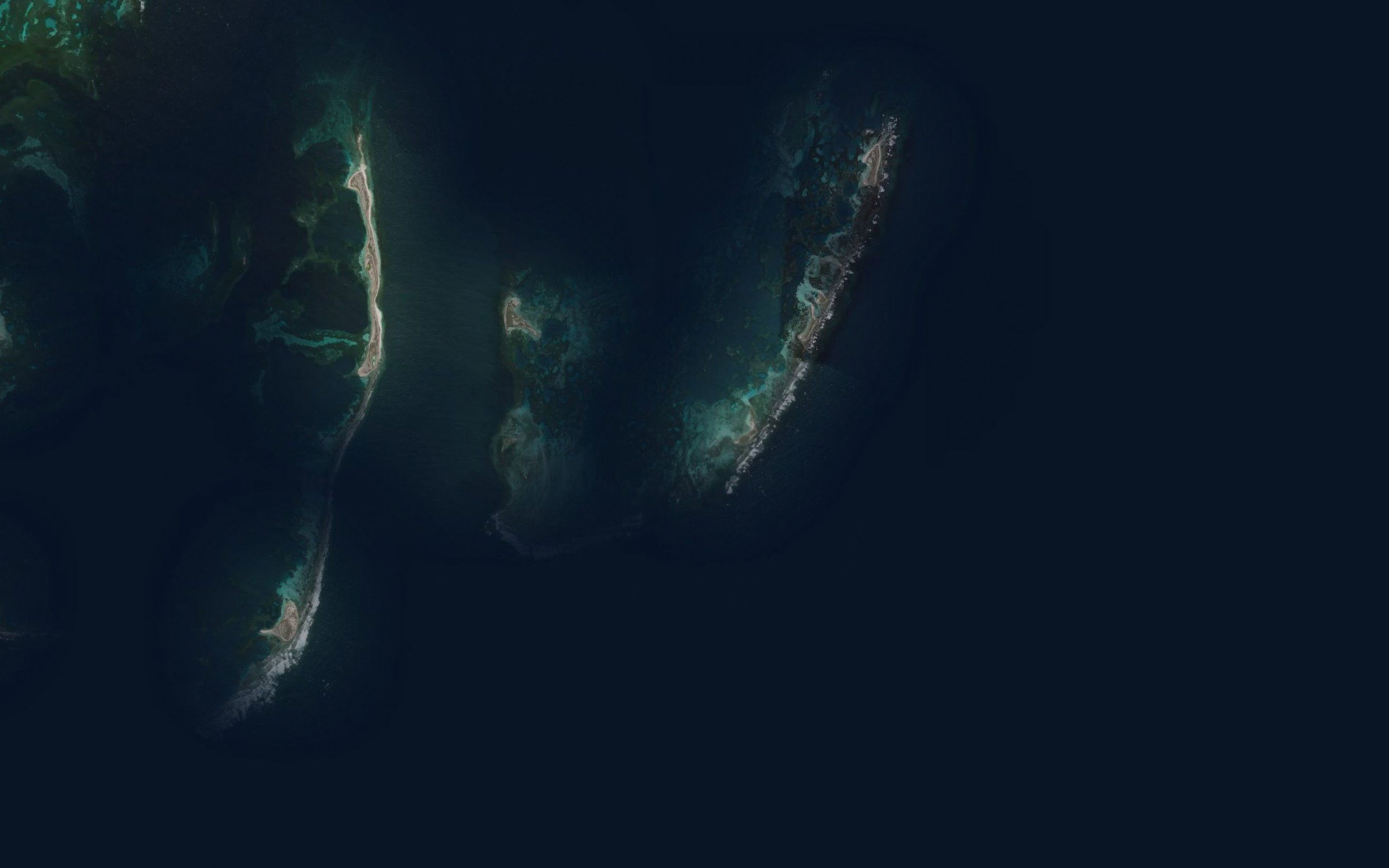 Morning Reef