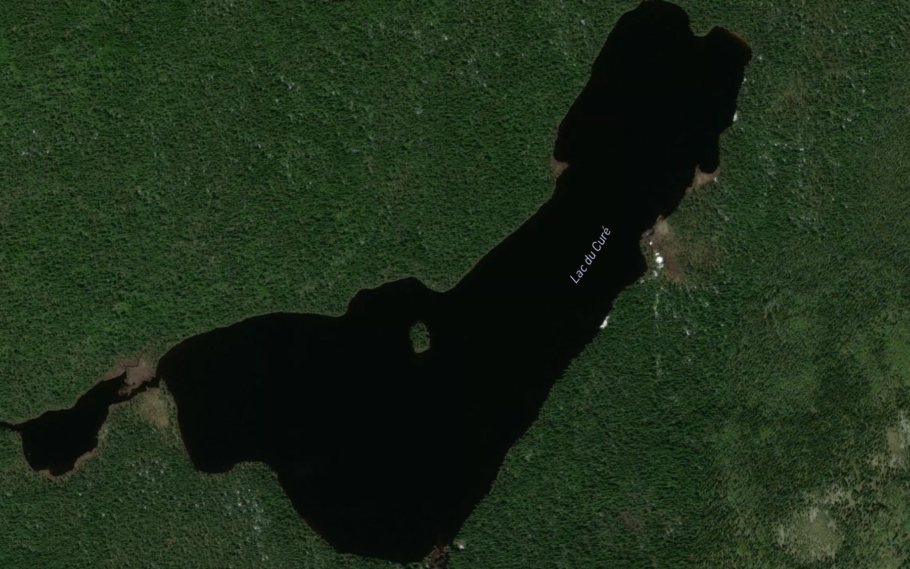Satellite map of the Lac du Cure