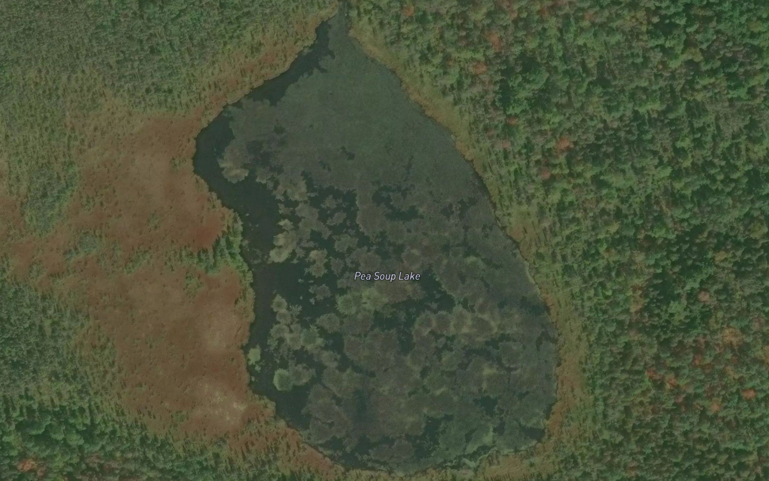 Pea Soup Lake