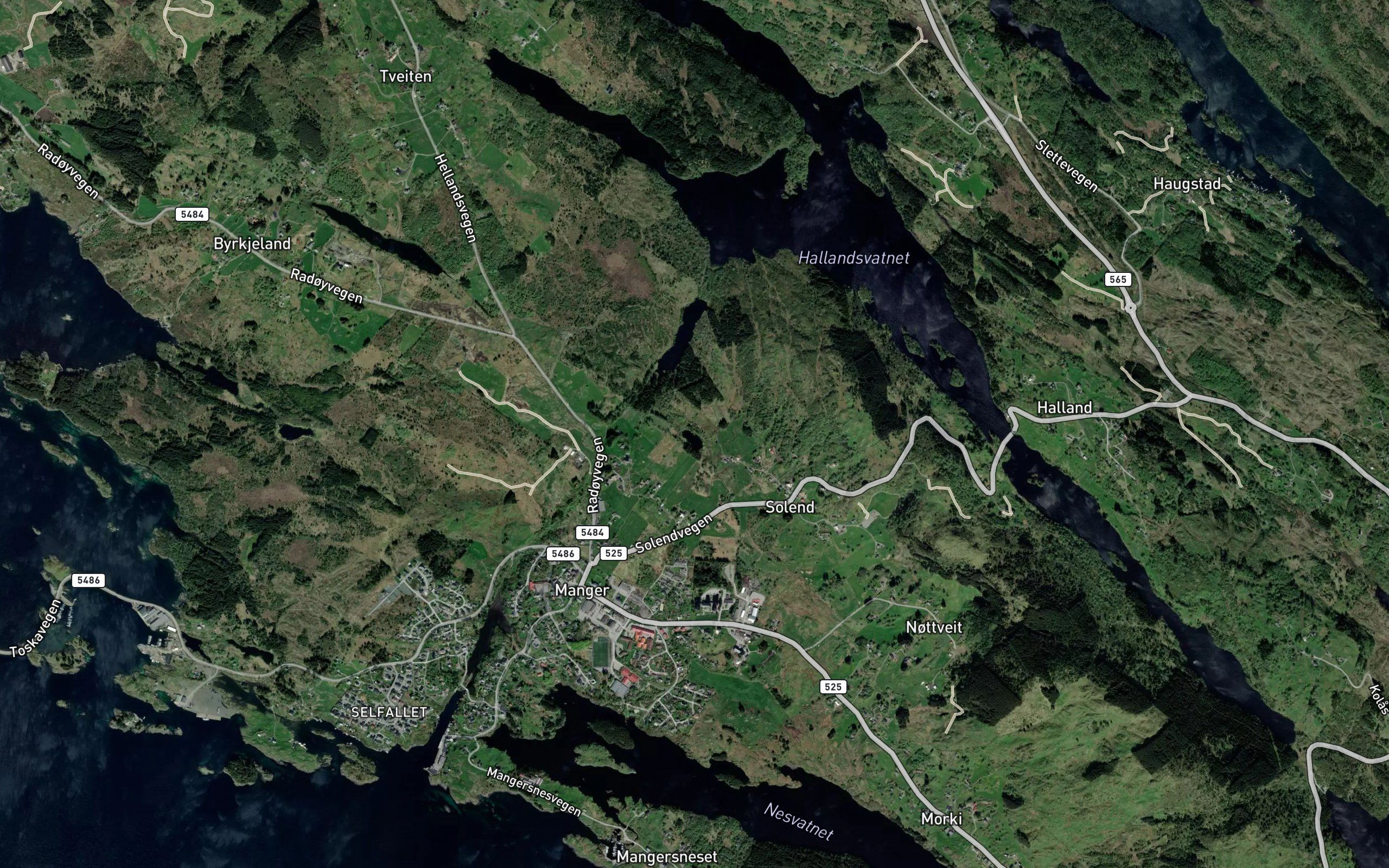 Heimtjorni