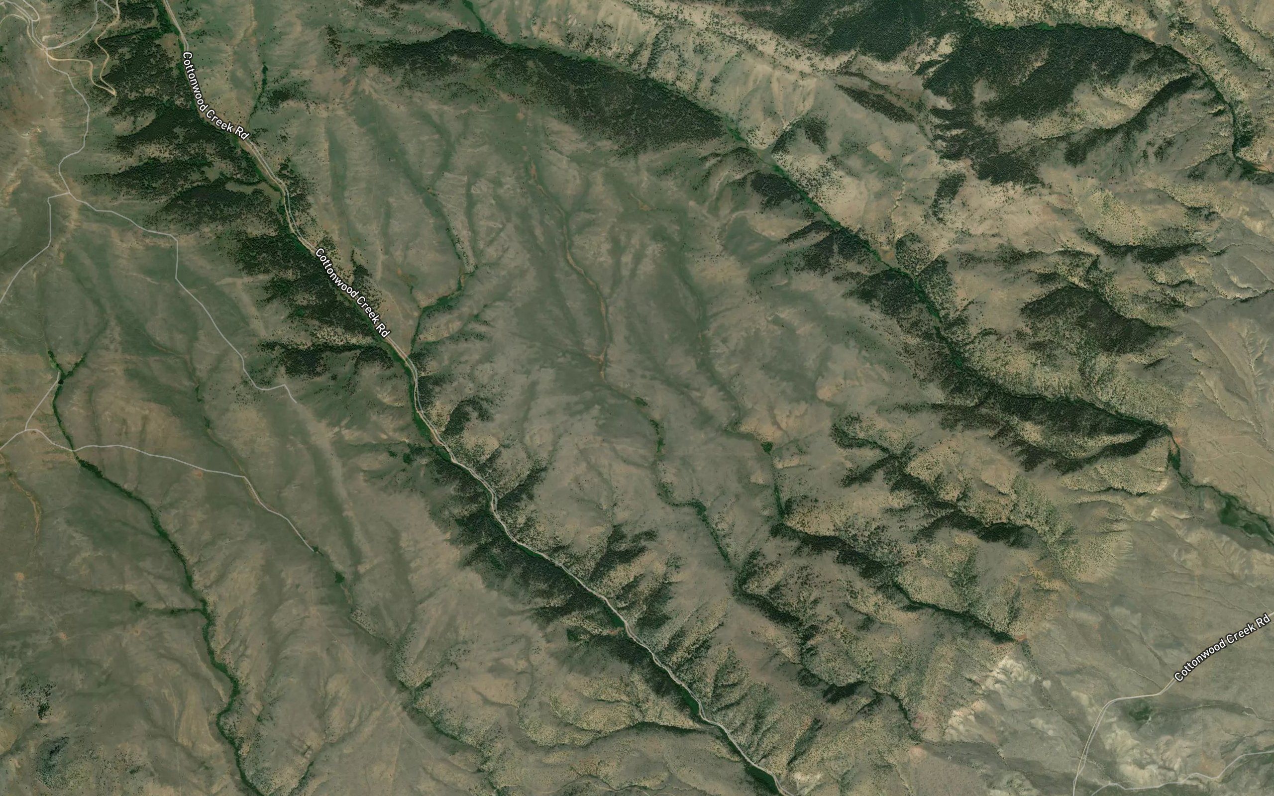 Barrel Springs