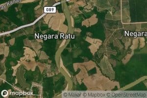 Bawang Terusanbawang