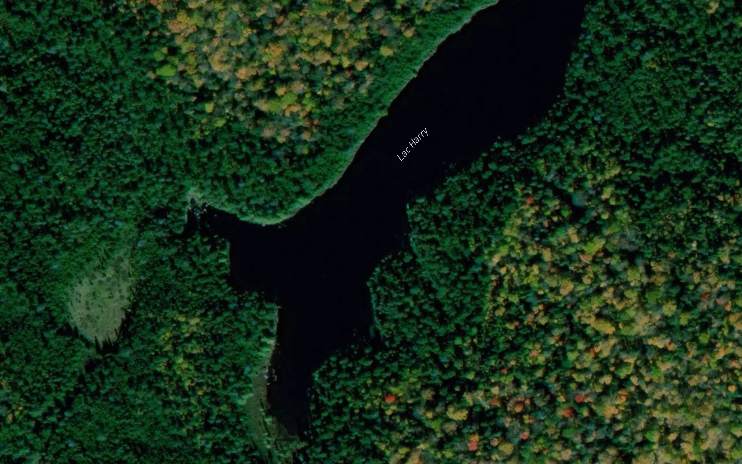 Lac Harry
