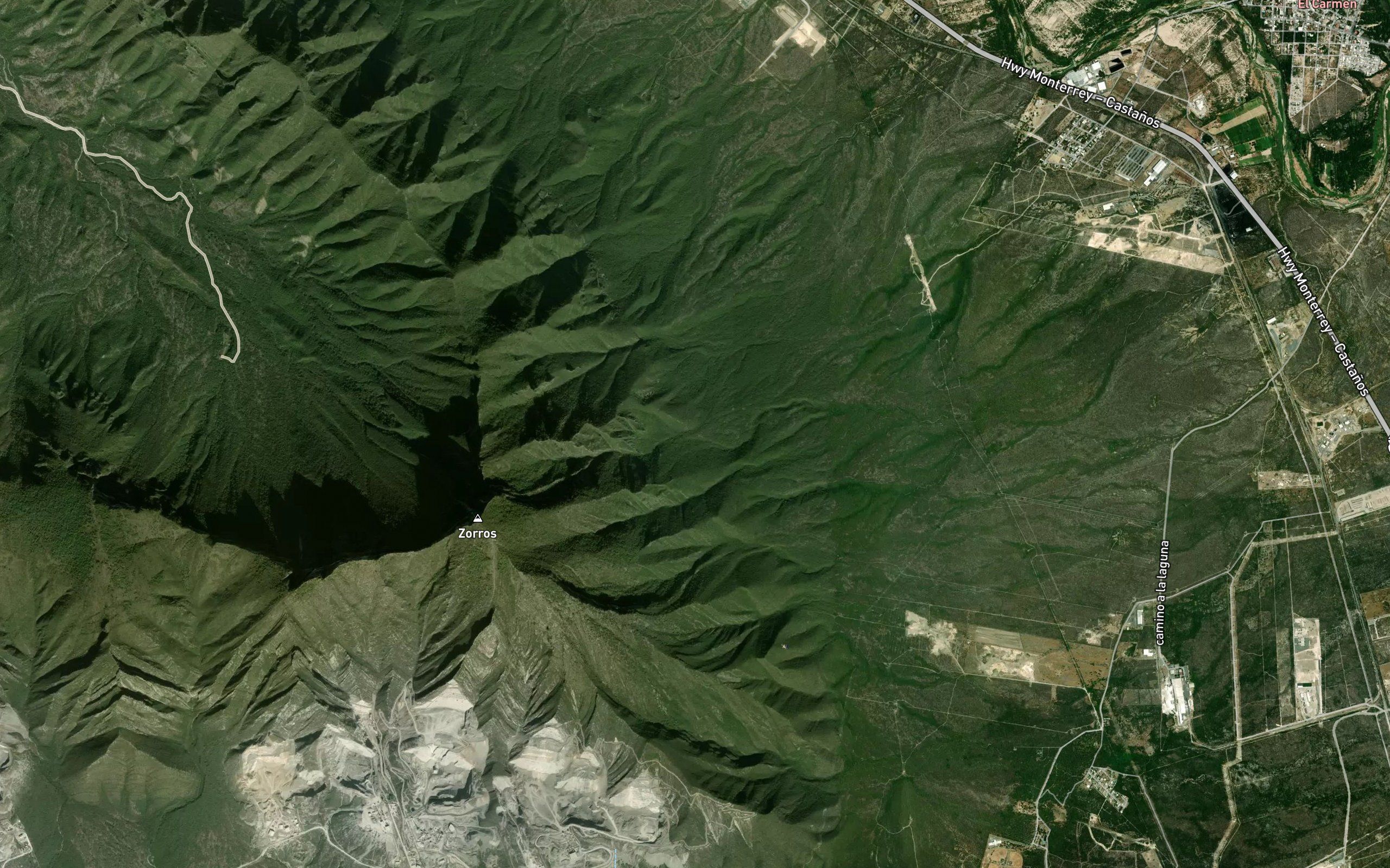 El Palmito