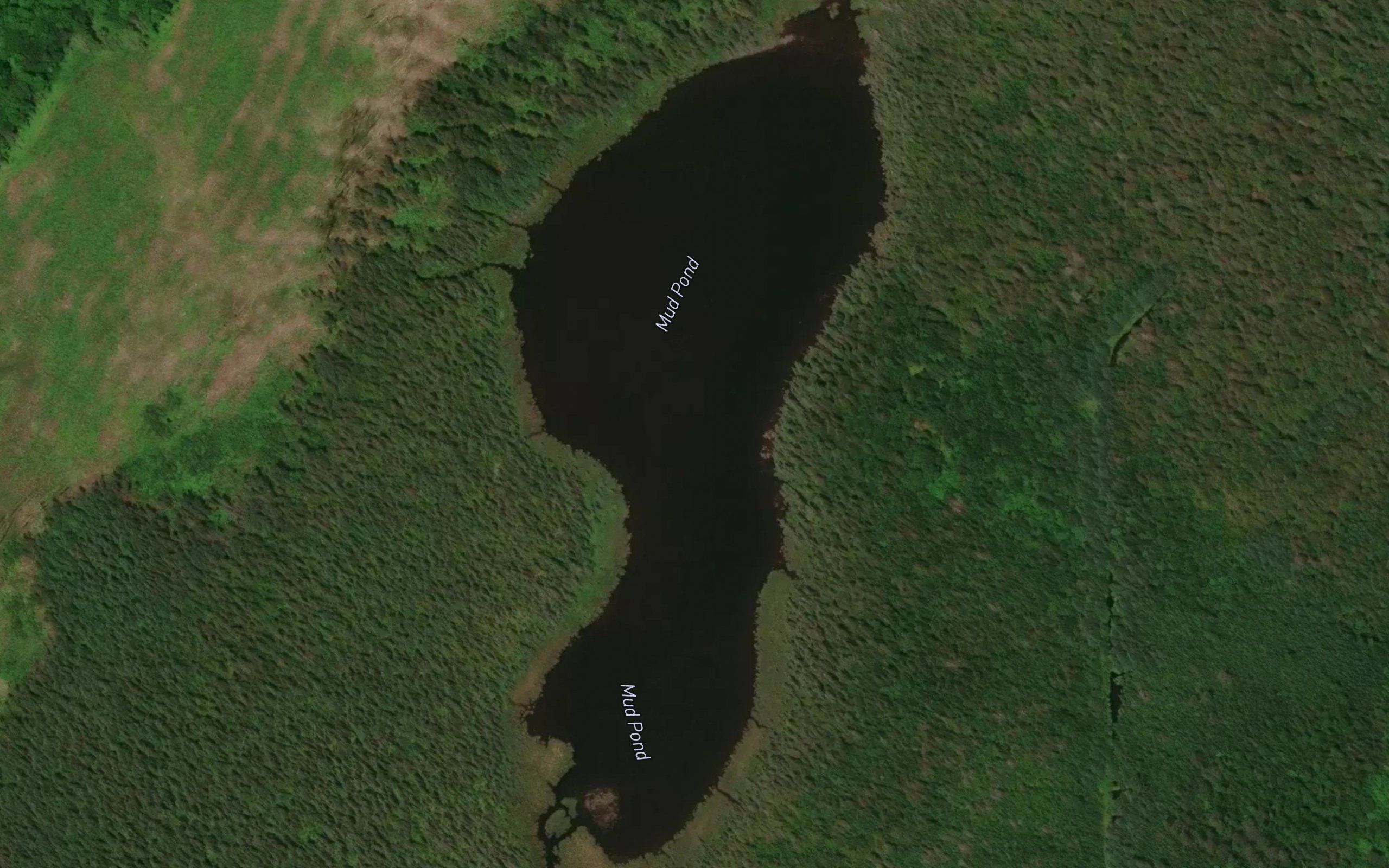 Mud Pond