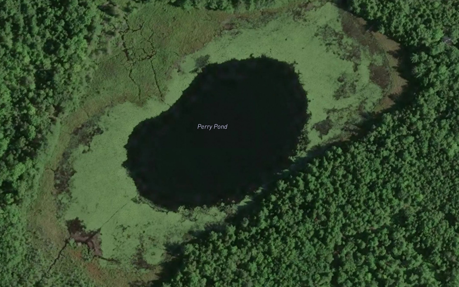Satellite map of the Perry Pond