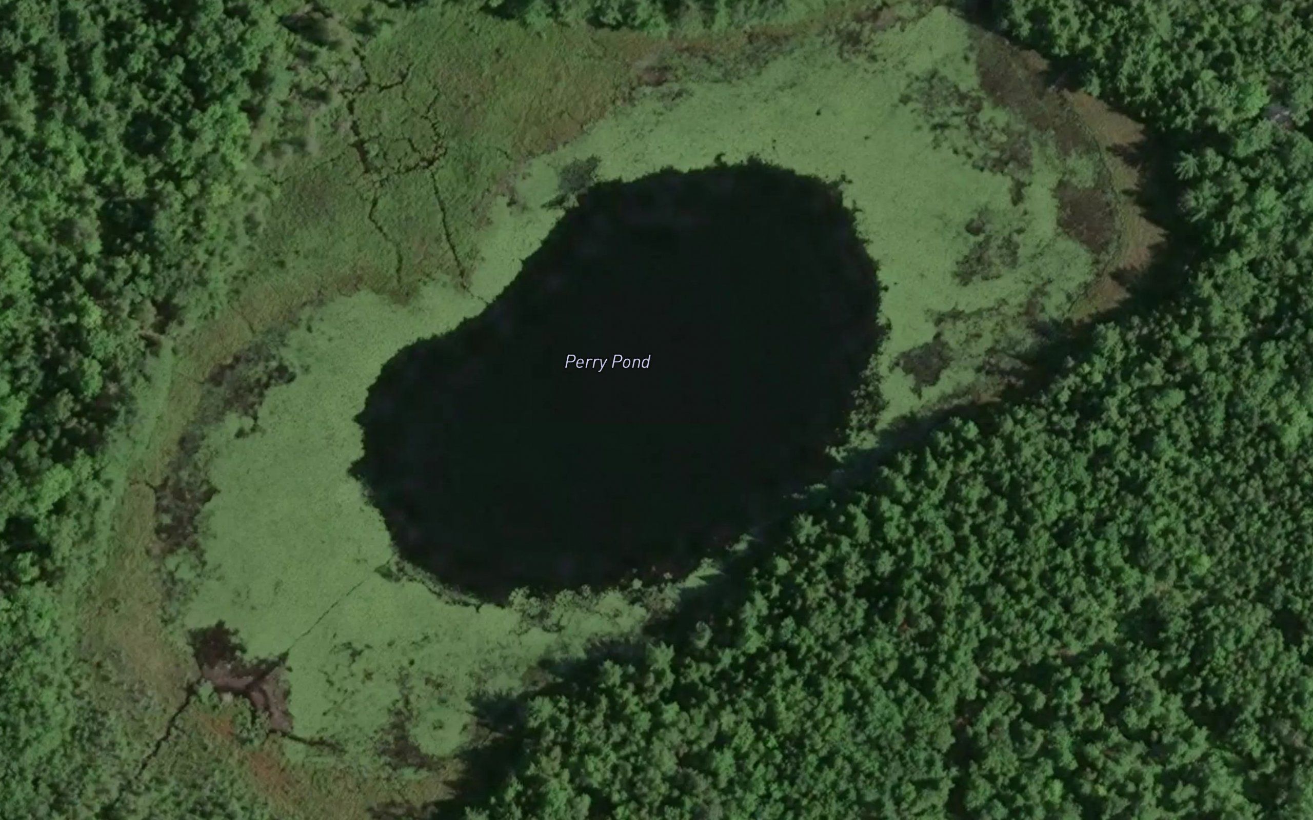 Perry Pond