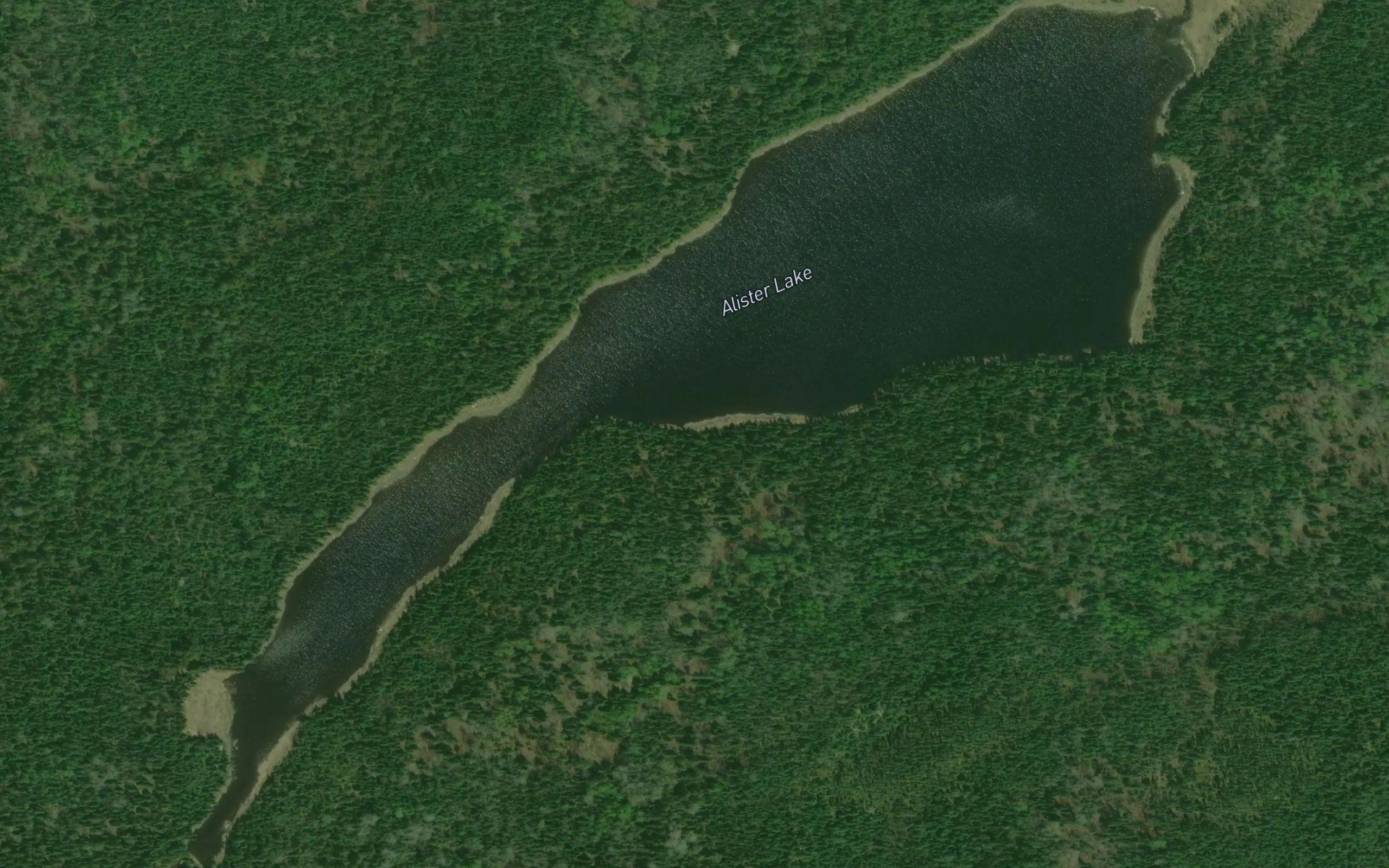Alister Lake
