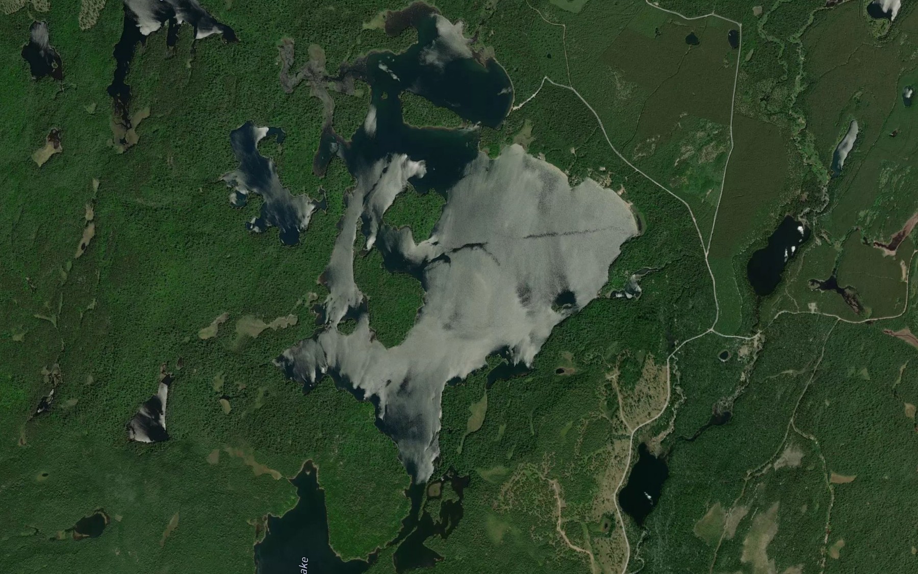 Satellite map of the Paradise Lake