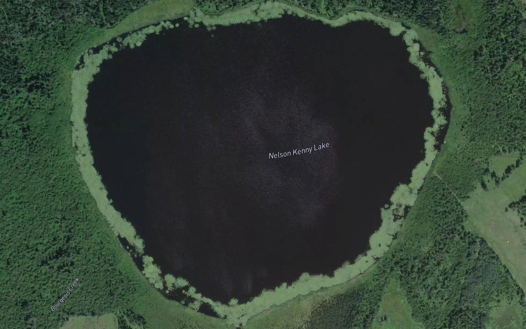 Satellite map of the Nelson Kenny Lake