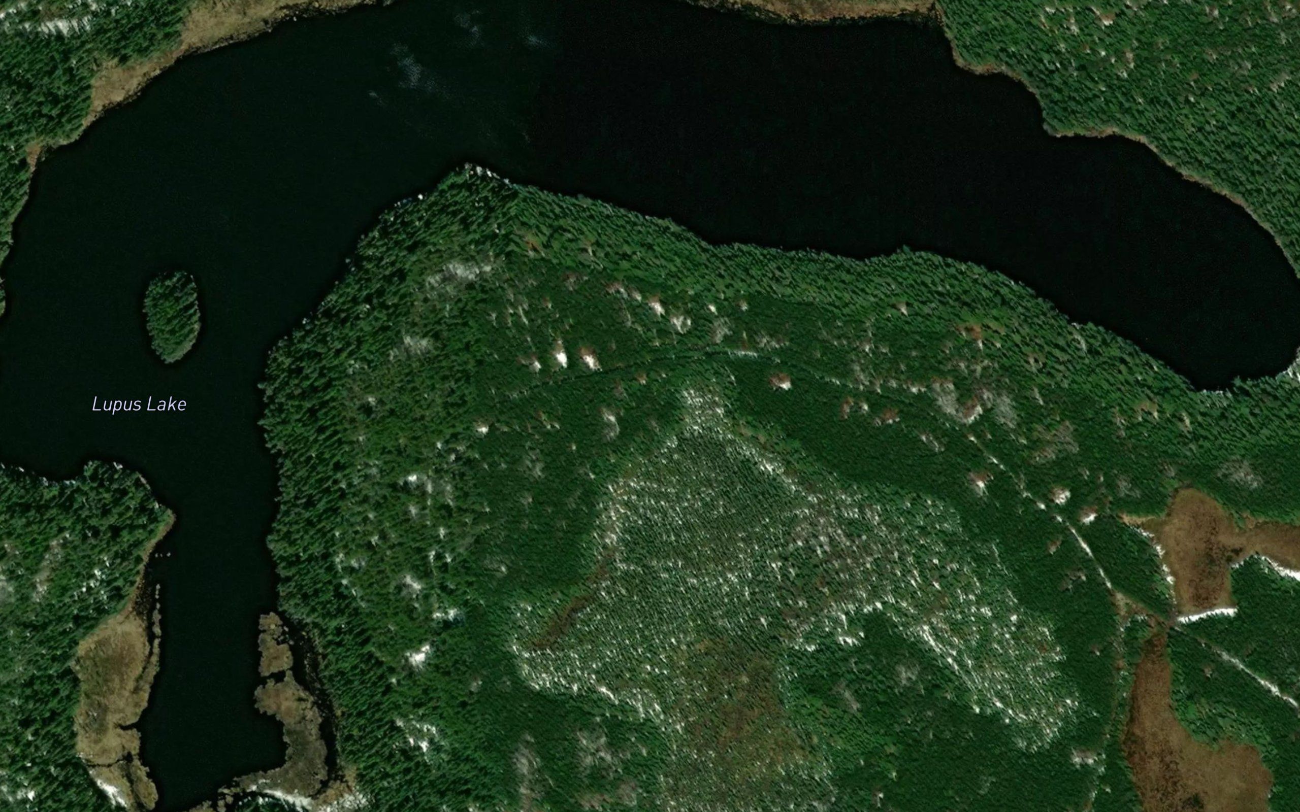 Lupus Lake