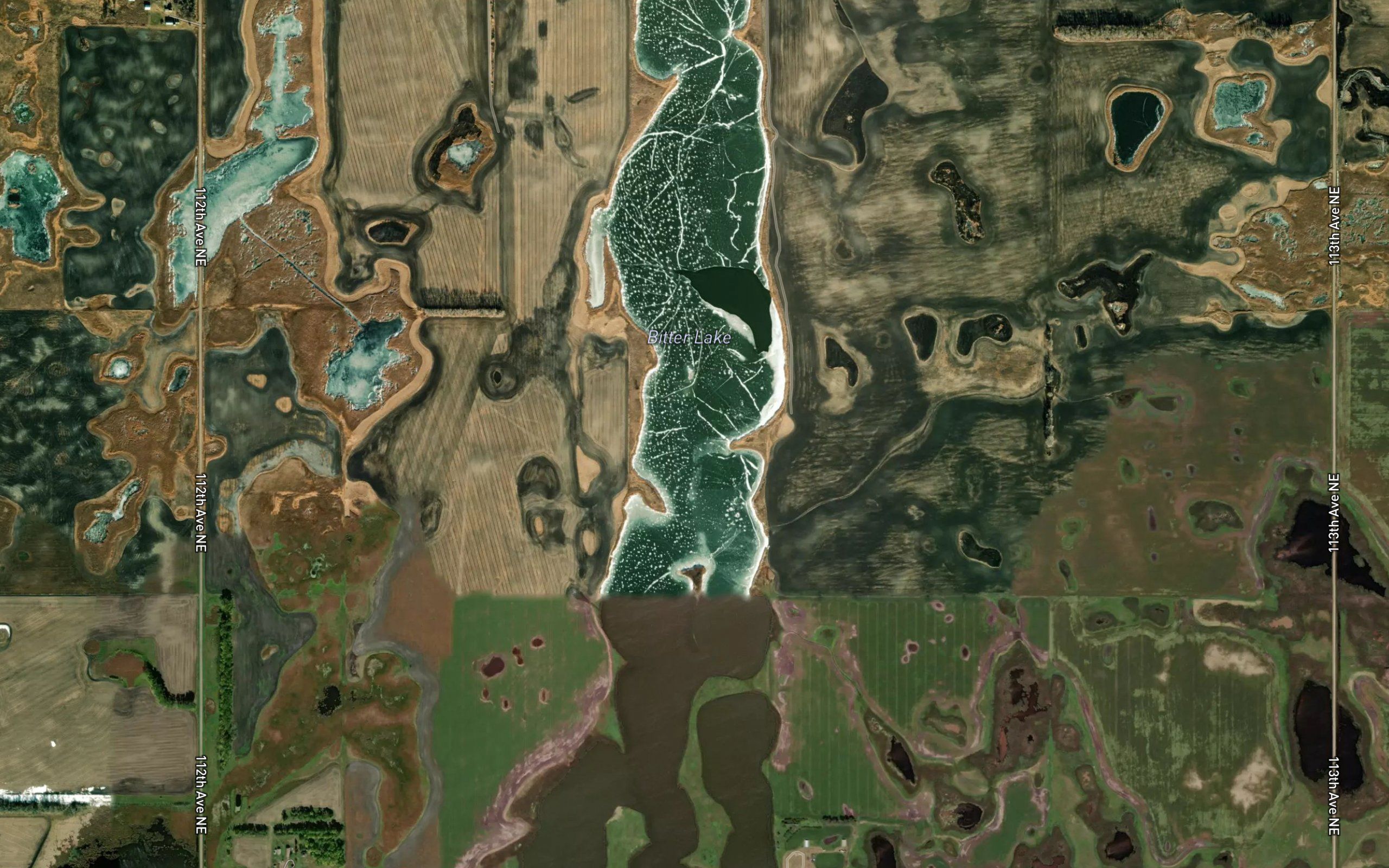 Bitter Lake