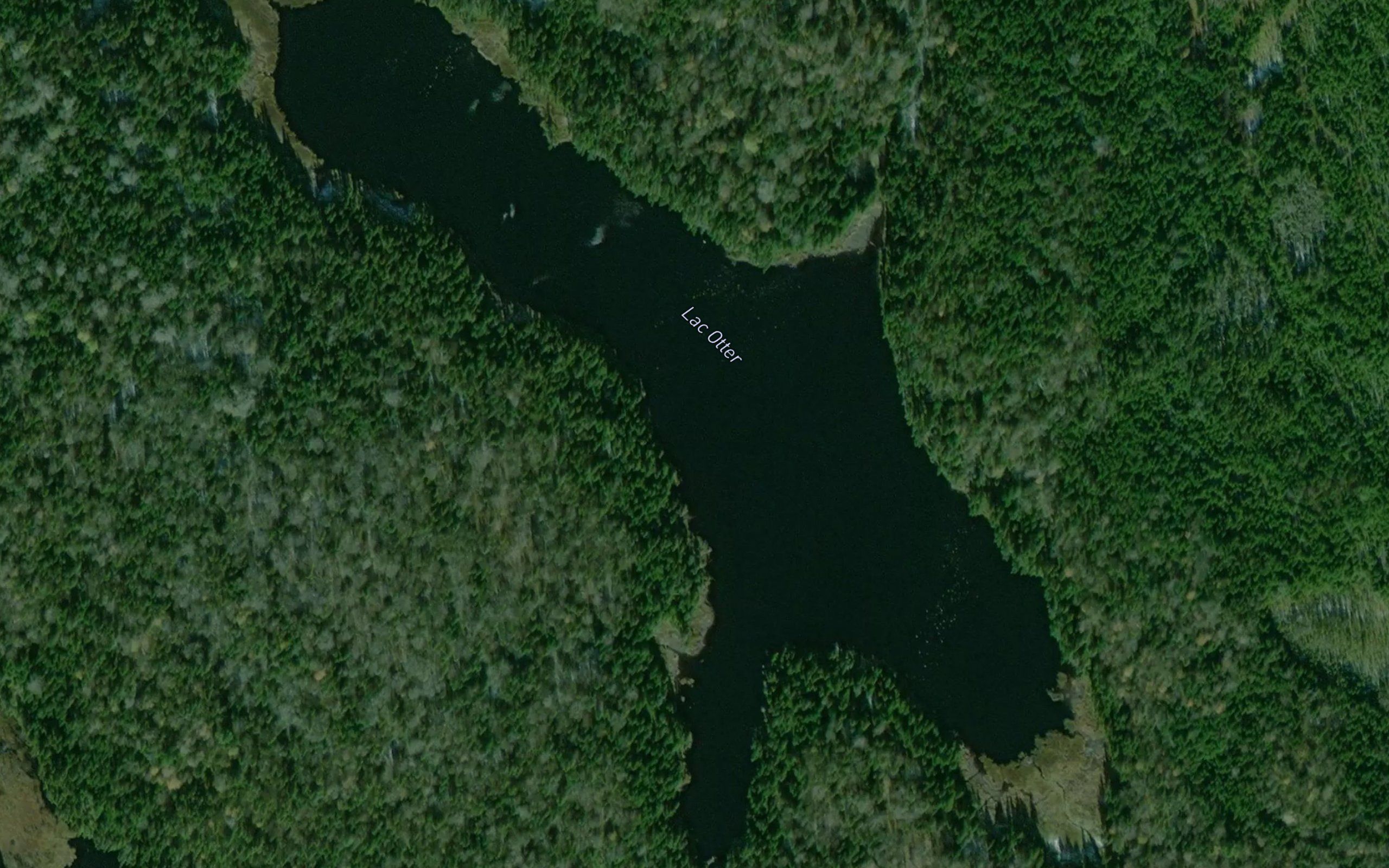 Lac Otter