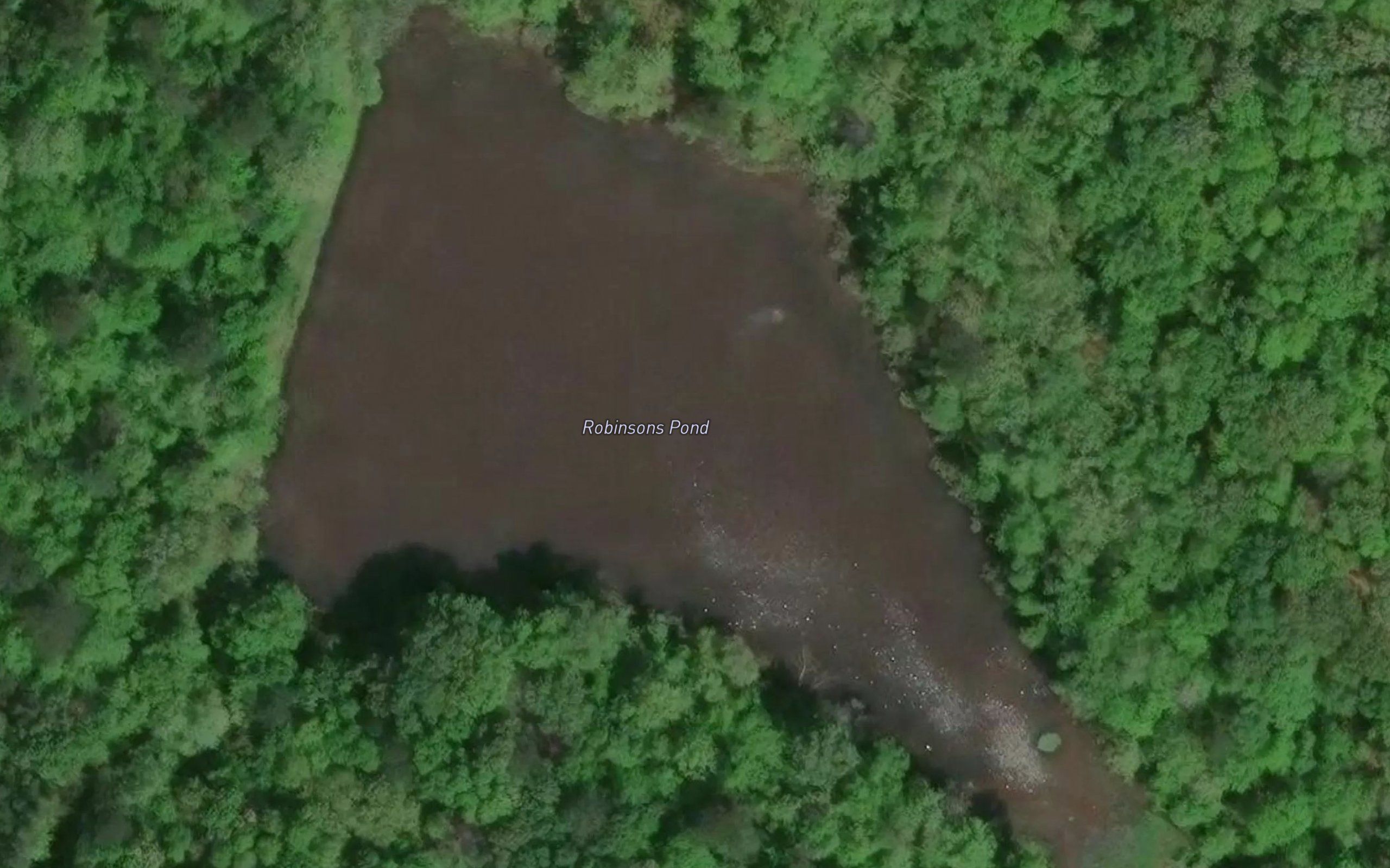 Robinsons Pond