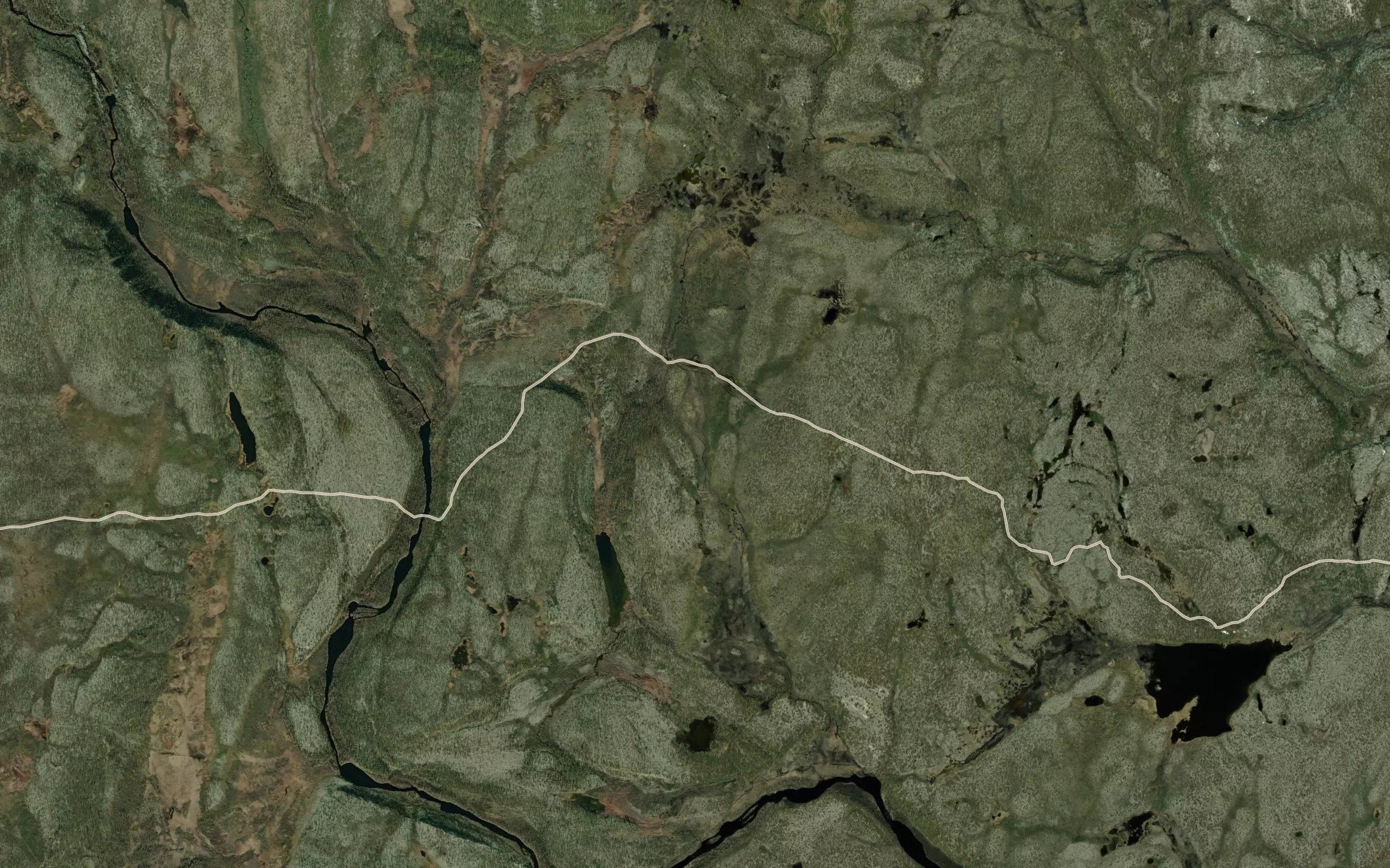Bulkejakka