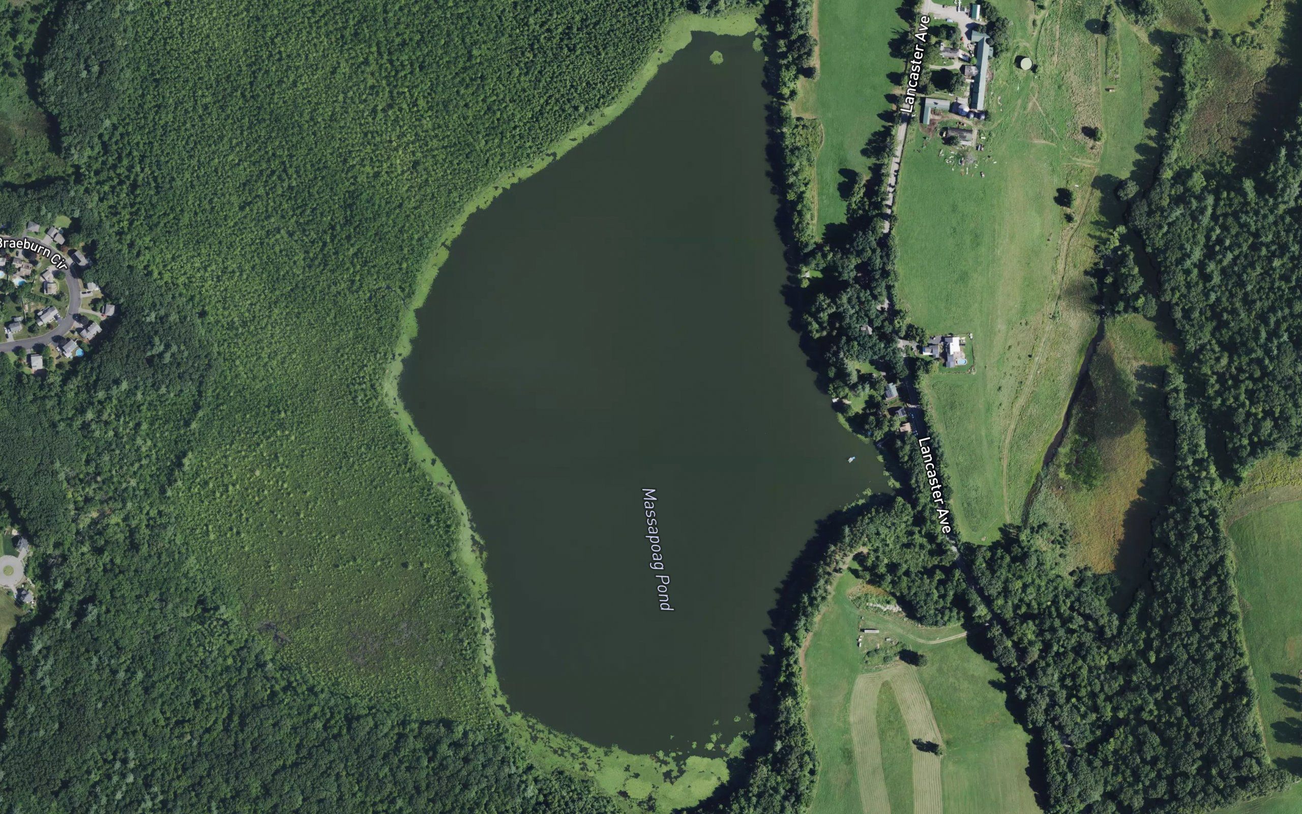 Massapoag Pond