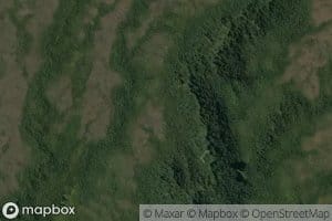 Gold Burn West Branch