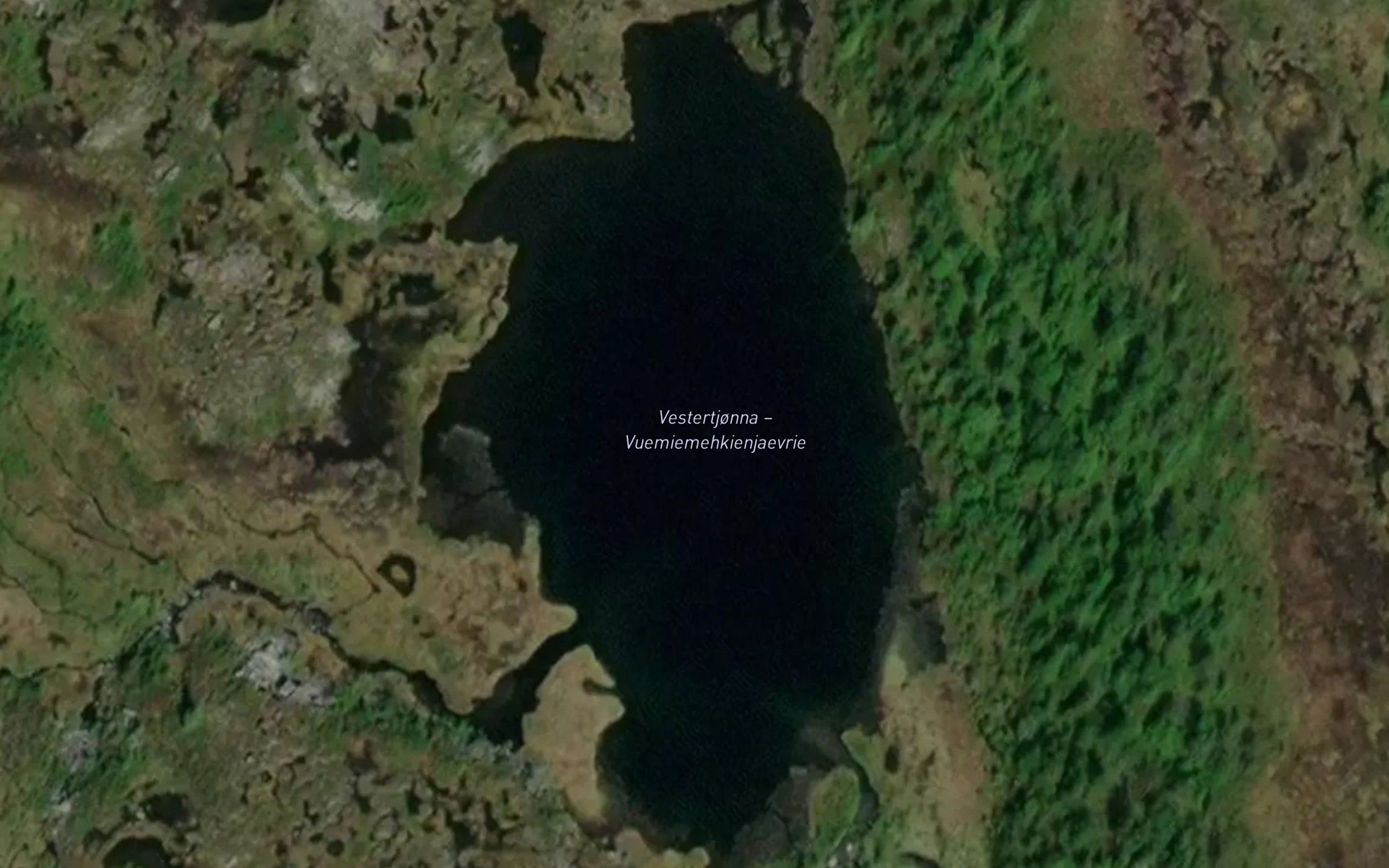 Vestertjorna