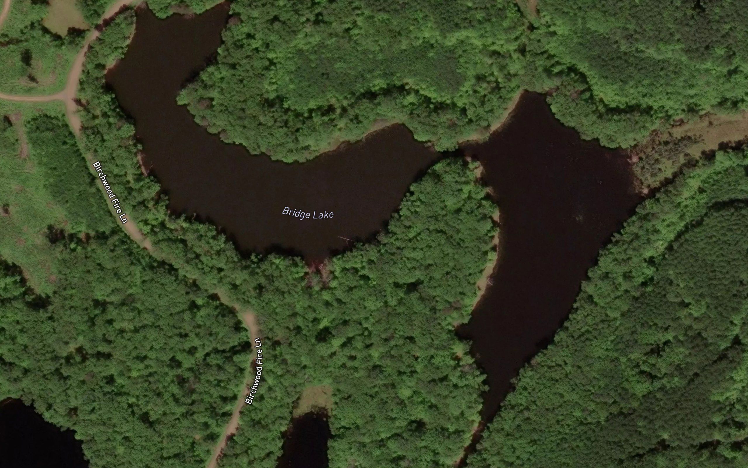 Bridge Lake