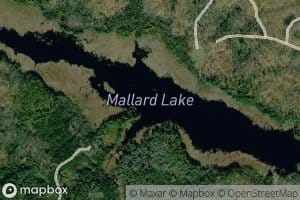 Mallard Lake