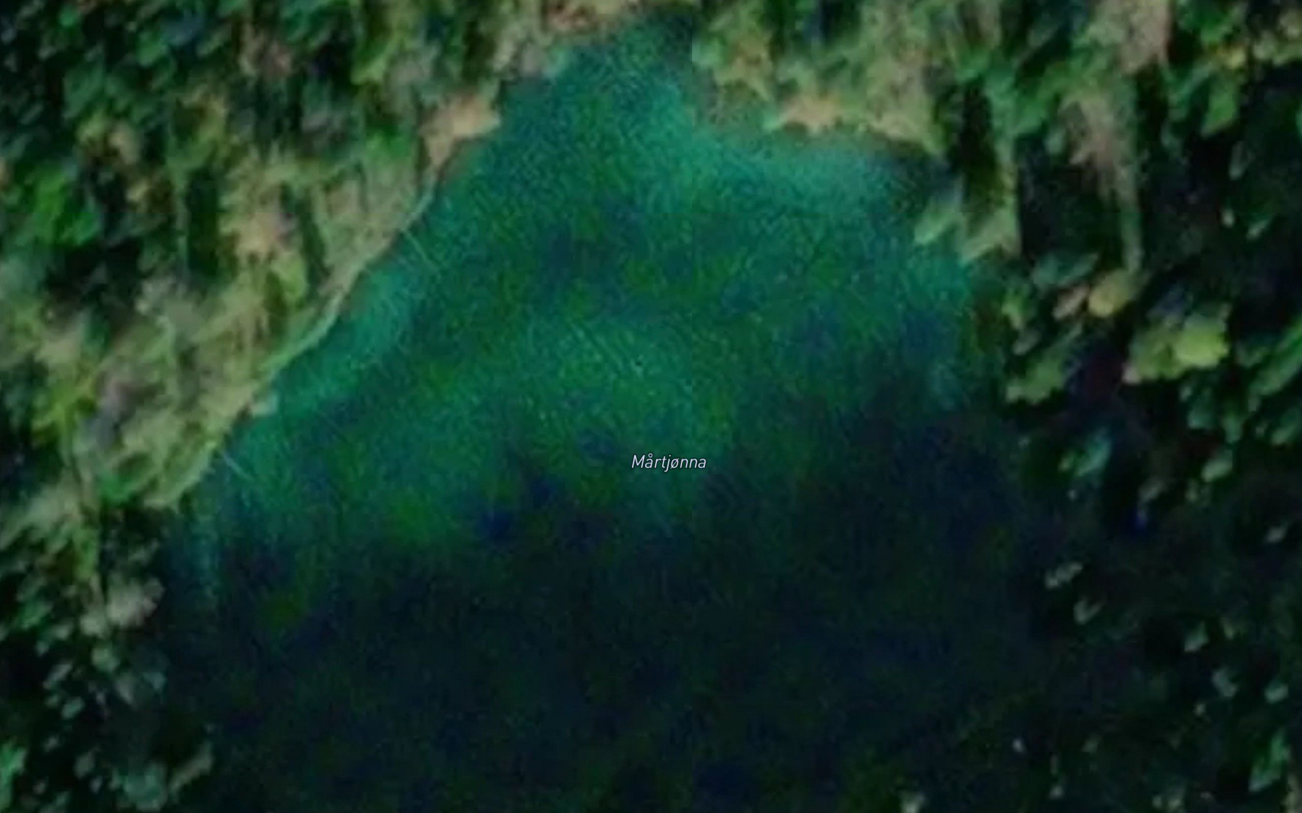 Martjorna