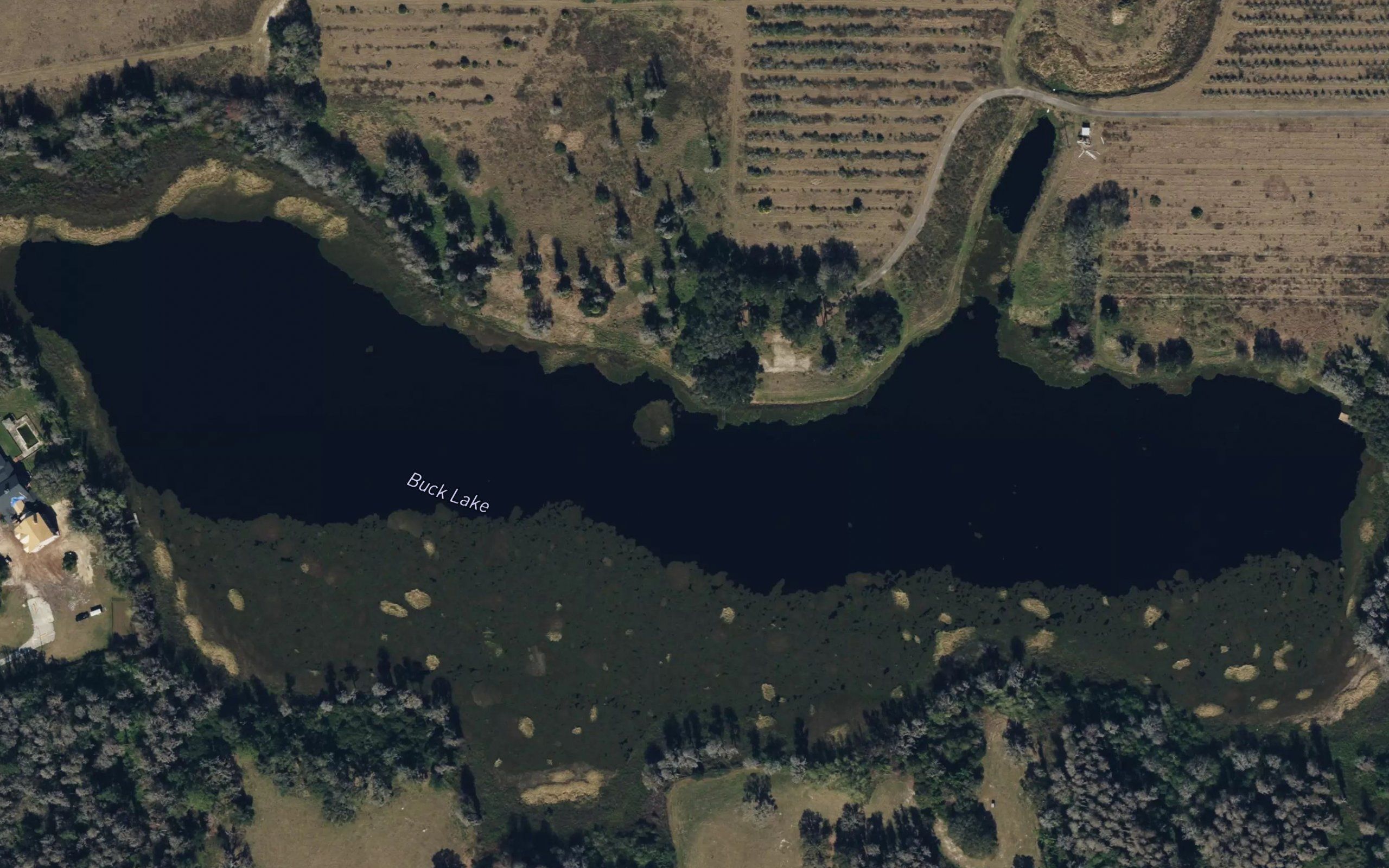 Buck Lake