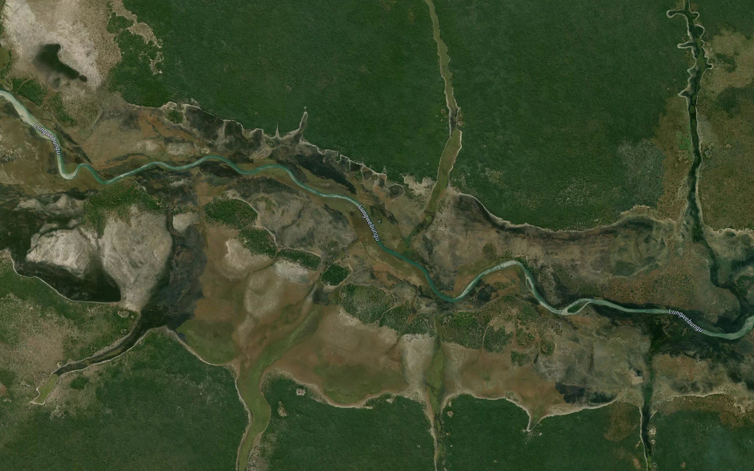 Munacua