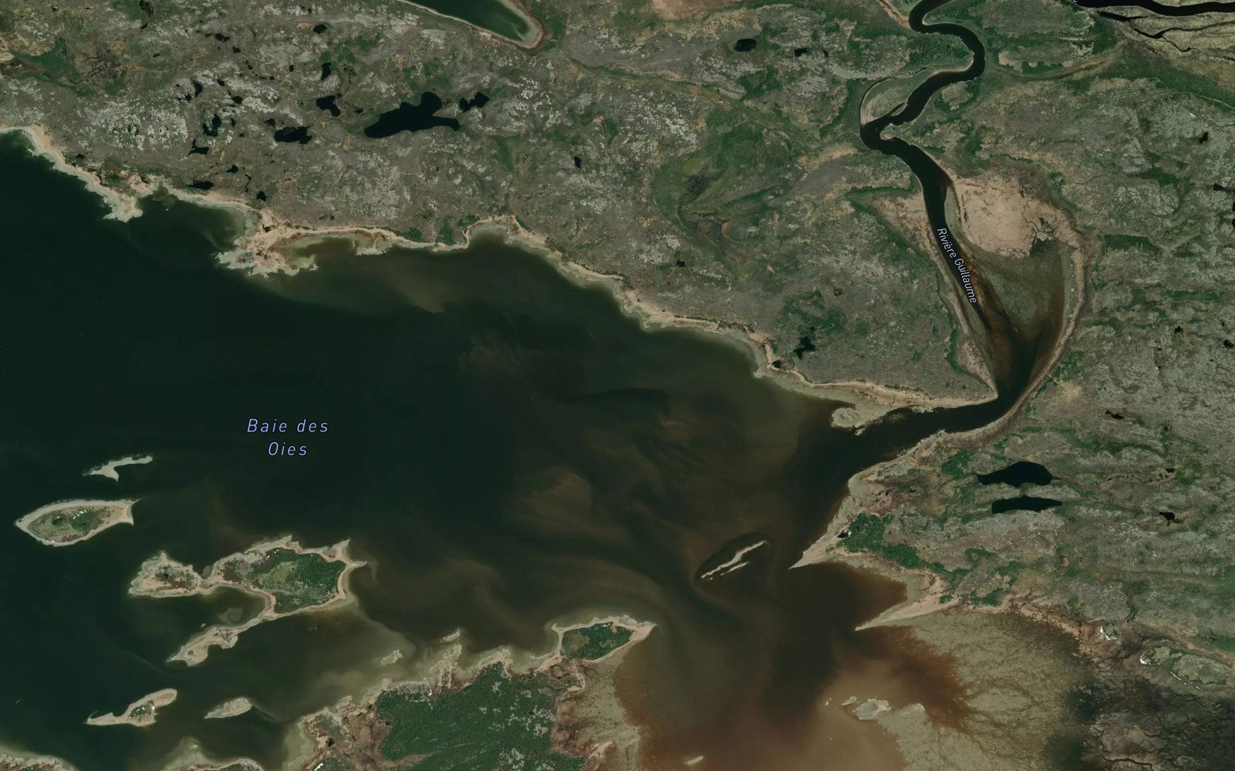 Satellite map of the Baie des Oies