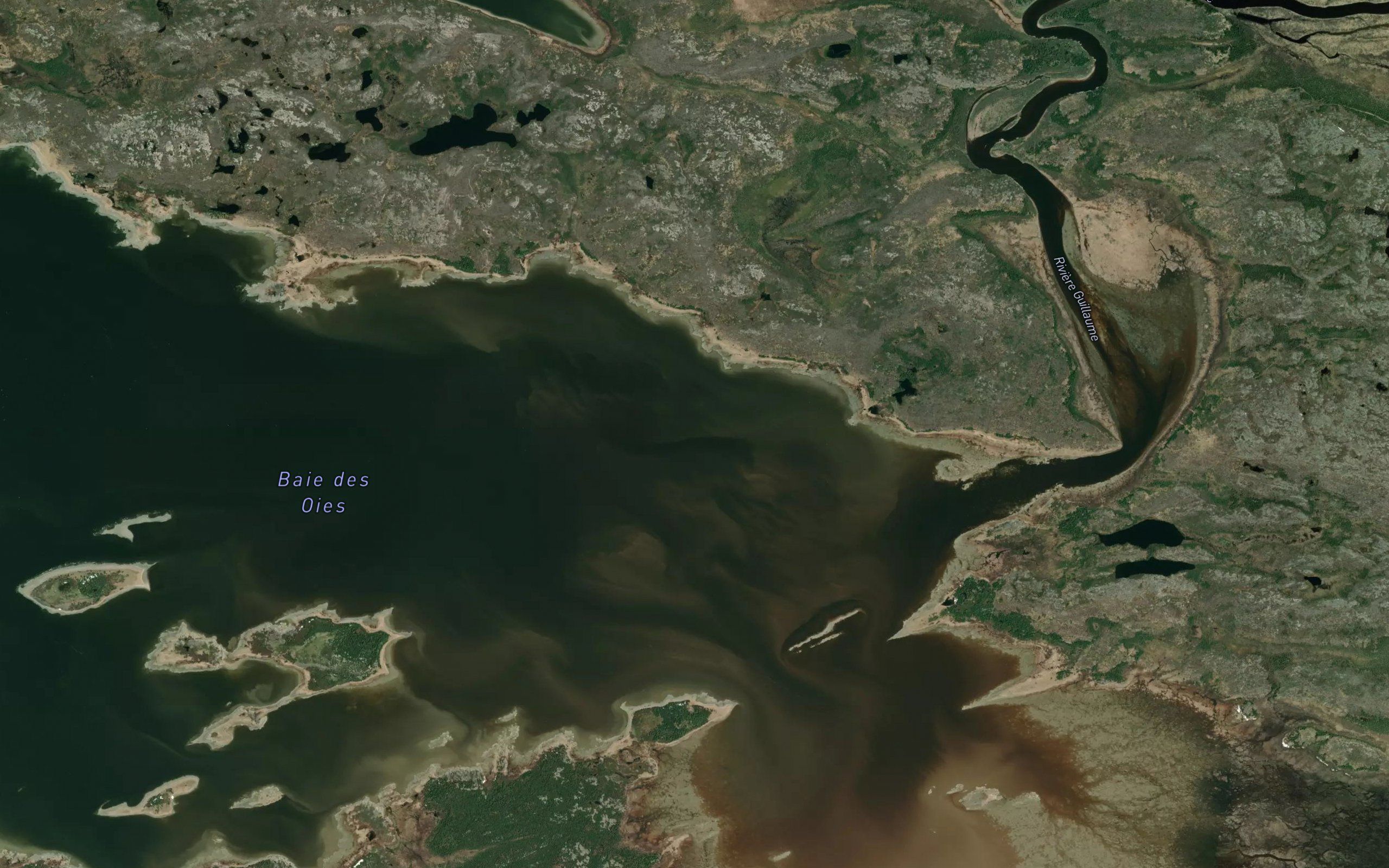 Baie des Oies