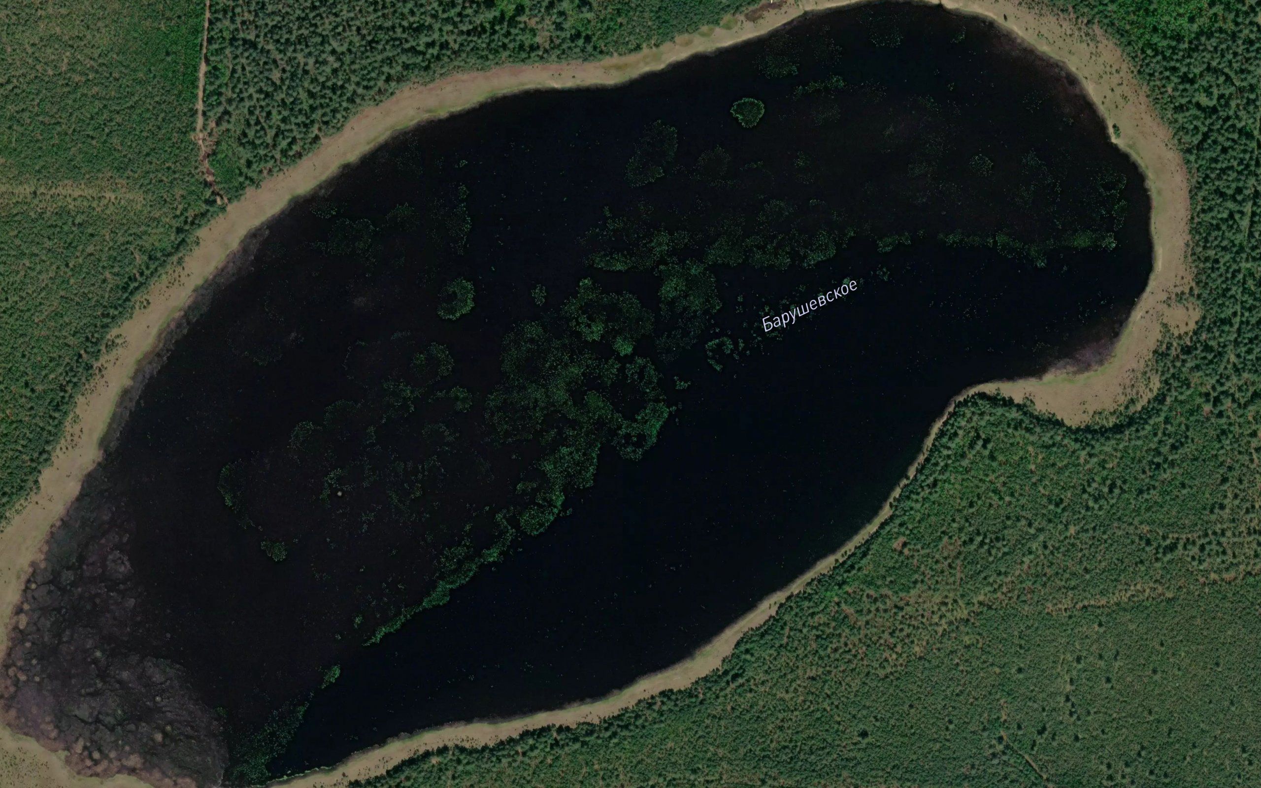 Ozero Barushevskoye