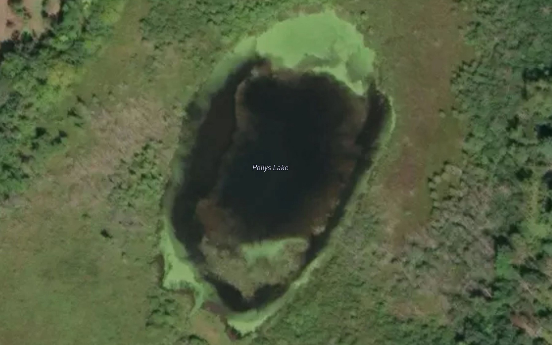 Satellite map of the Pollys Lake