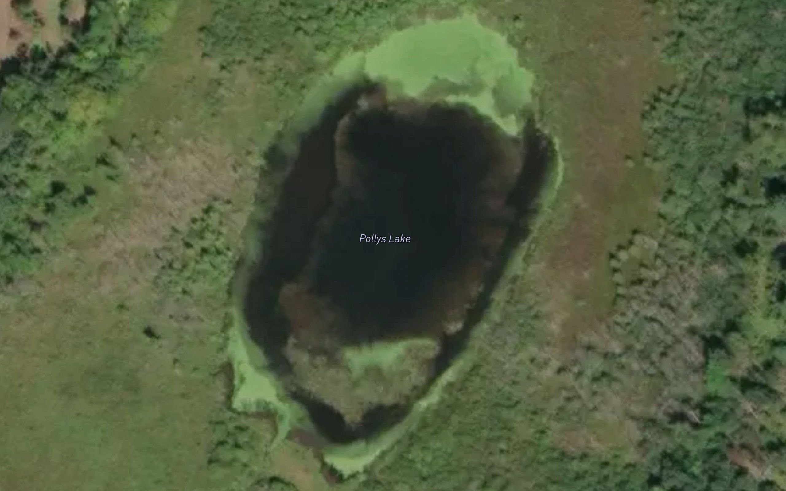 Pollys Lake