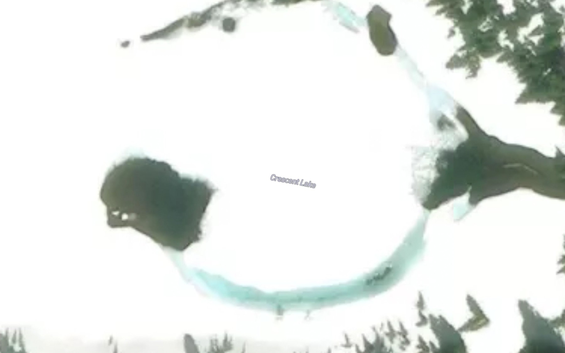 Satellite map of the Crescent Lake
