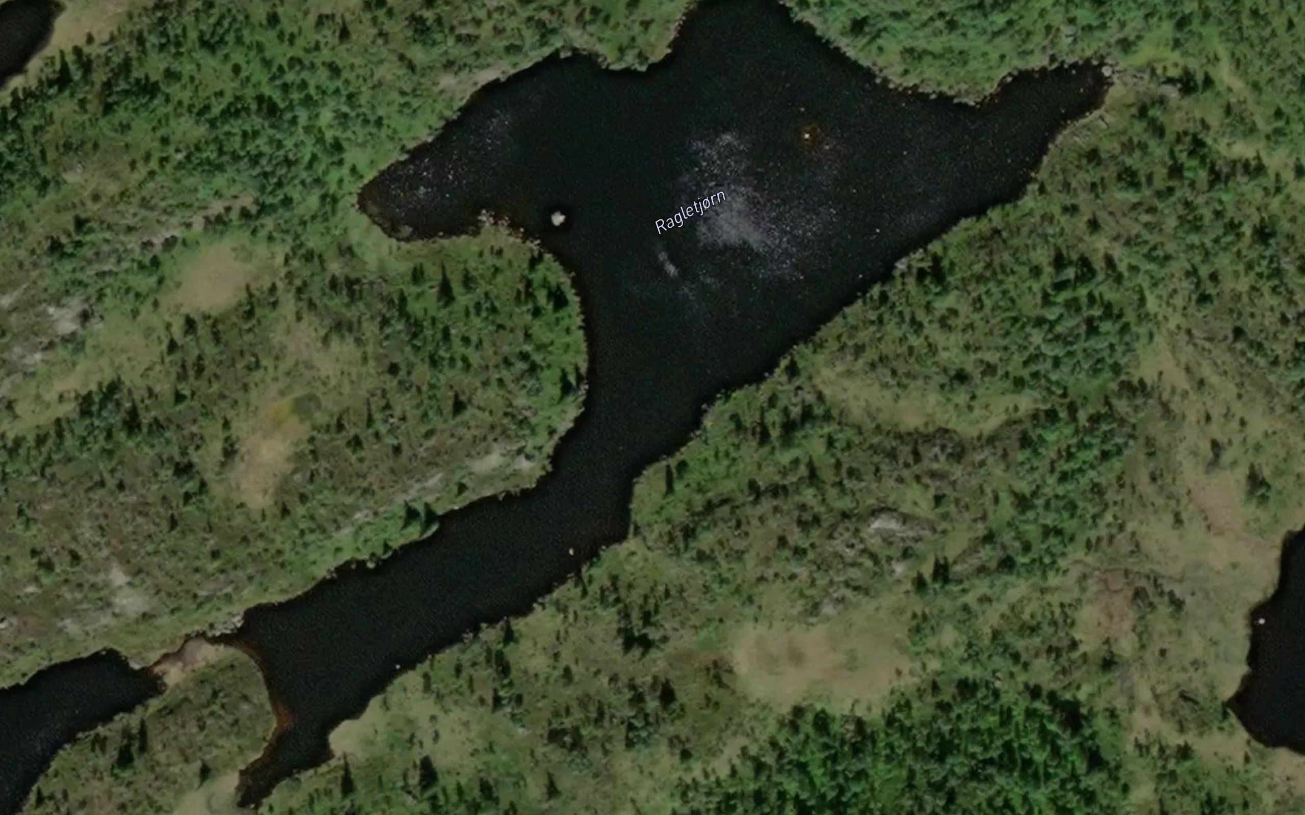Ragletjorn